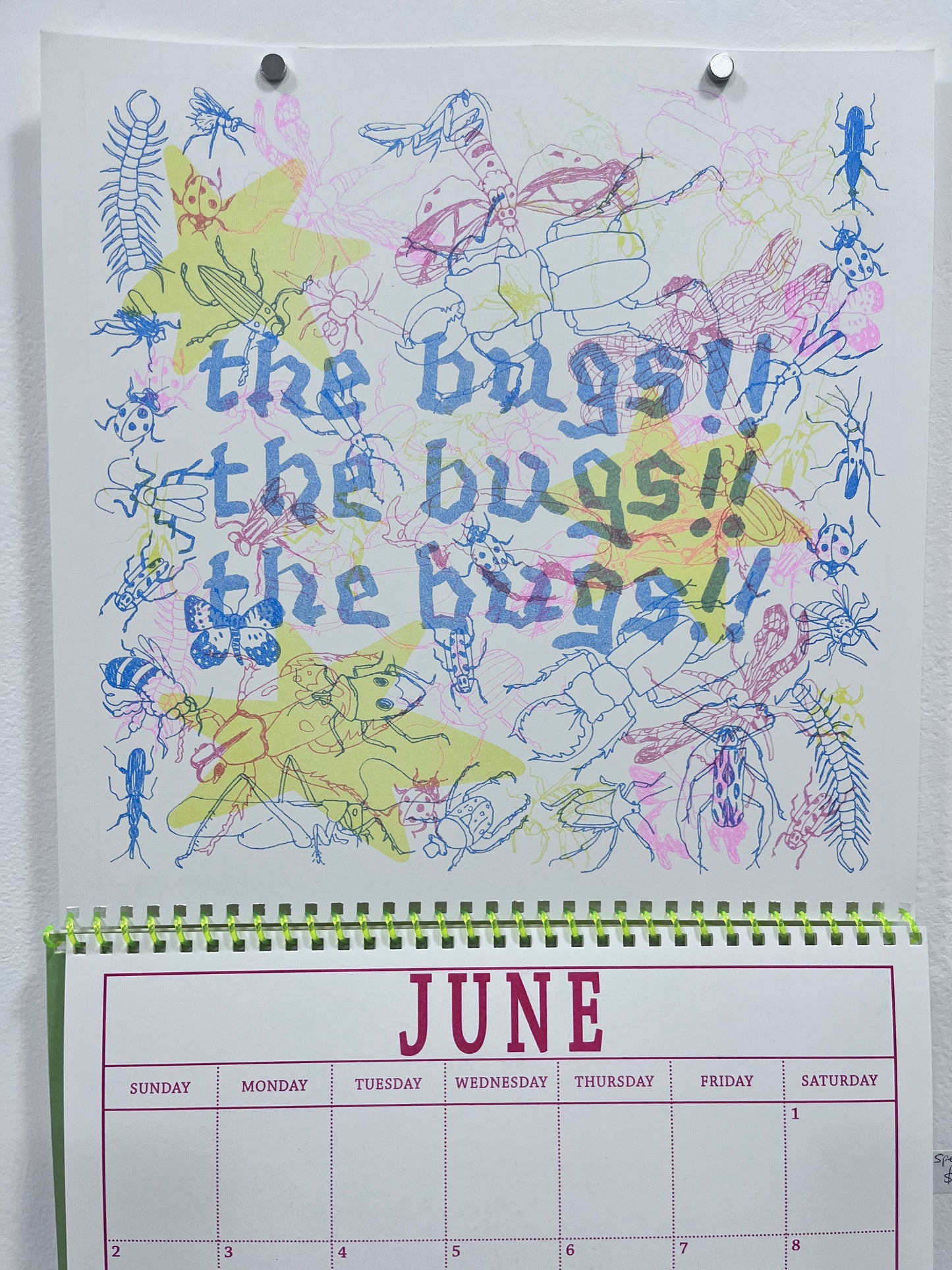 Pet Riso 2024 Calendar
