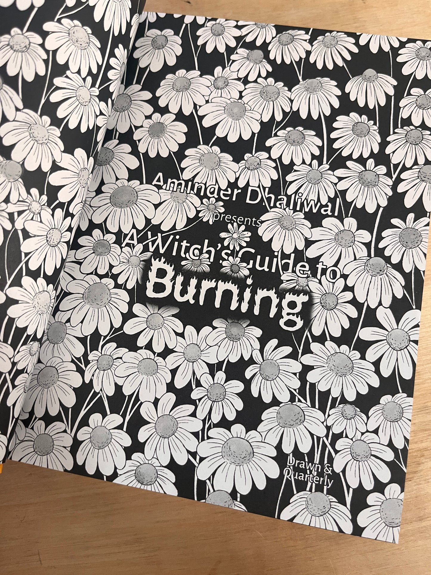 A Witch’s Guide to Burning