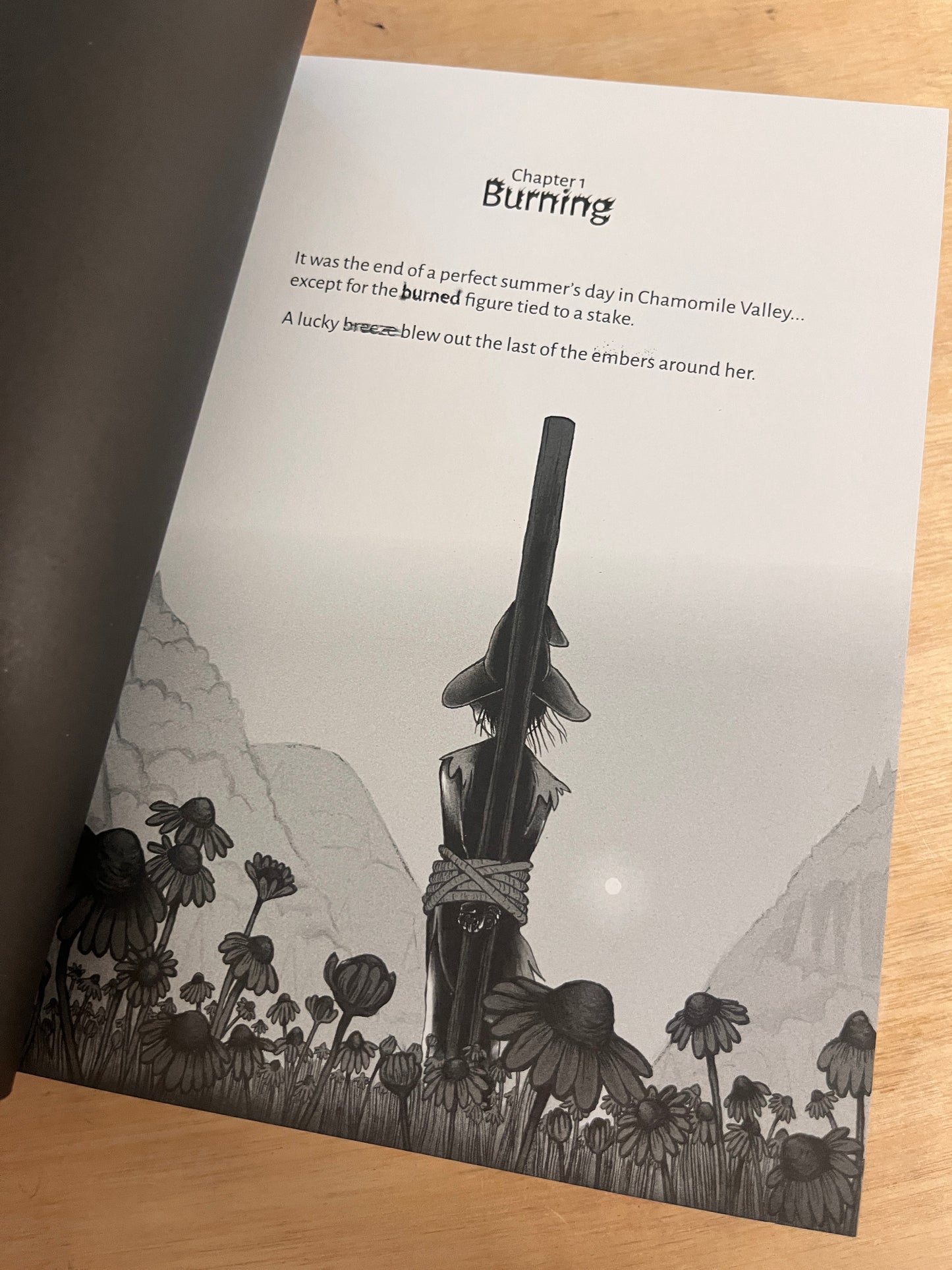 A Witch’s Guide to Burning