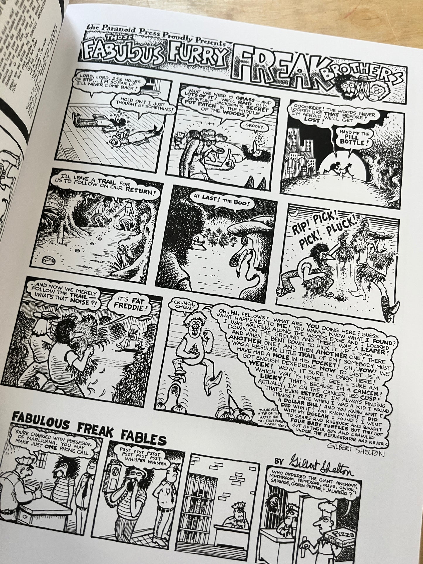 The Fabulous Furry Freak Brothers: Times of No Money And Other Stories