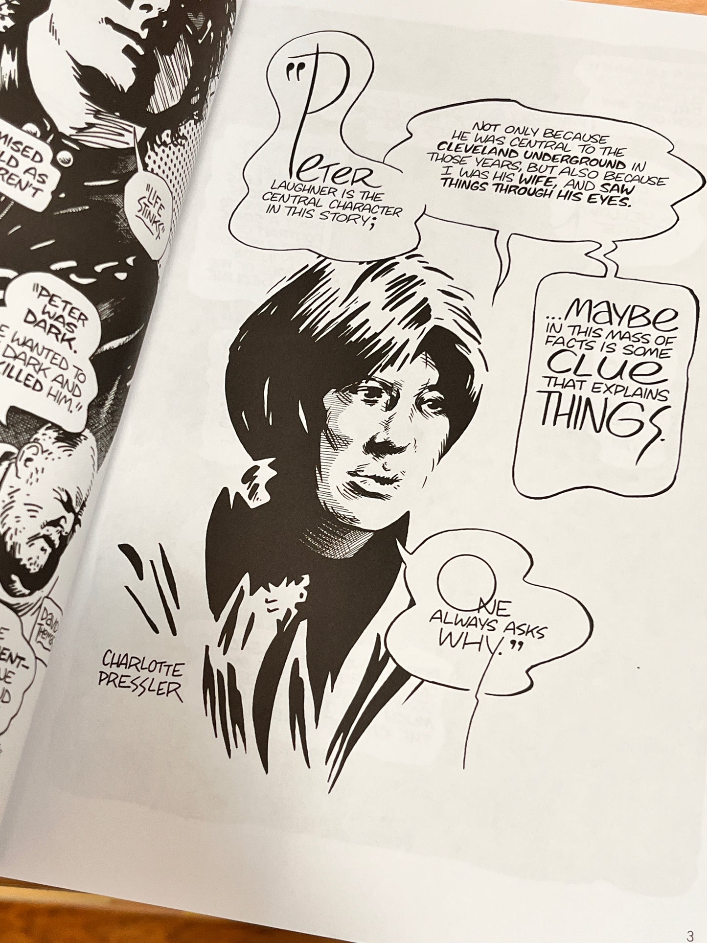 Ain’t It Fun: Peter Laughner & Proto-Punk in the Secret City