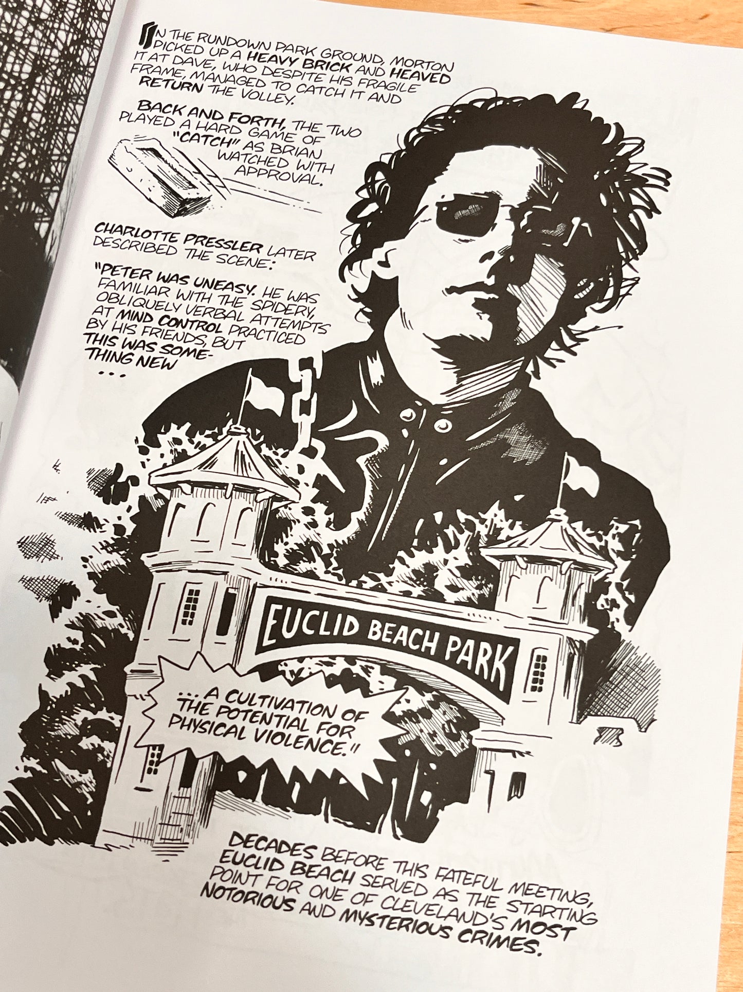 Ain’t It Fun: Peter Laughner & Proto-Punk in the Secret City