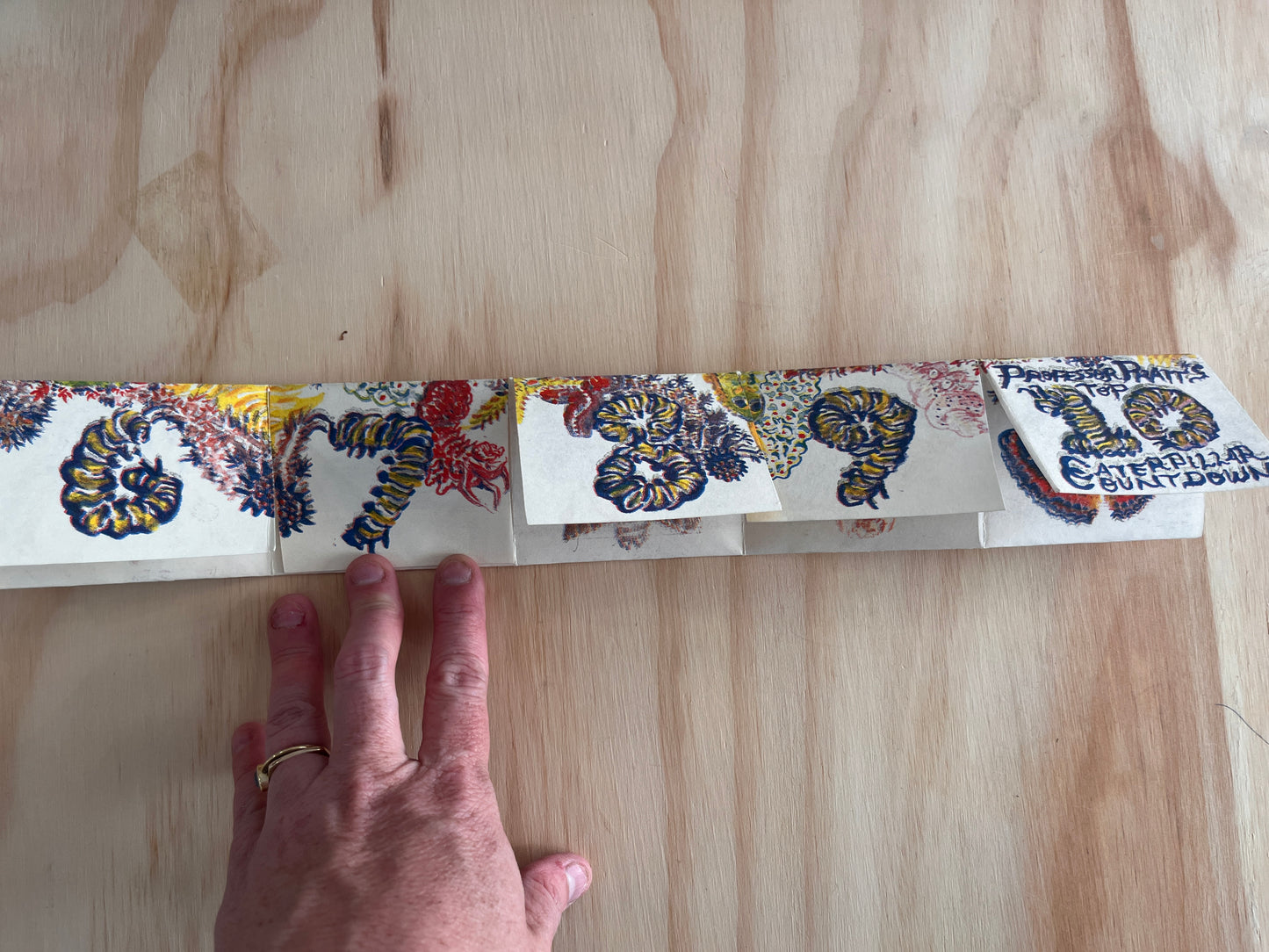 Professor Pratt's Top Ten Caterpillar Countdown