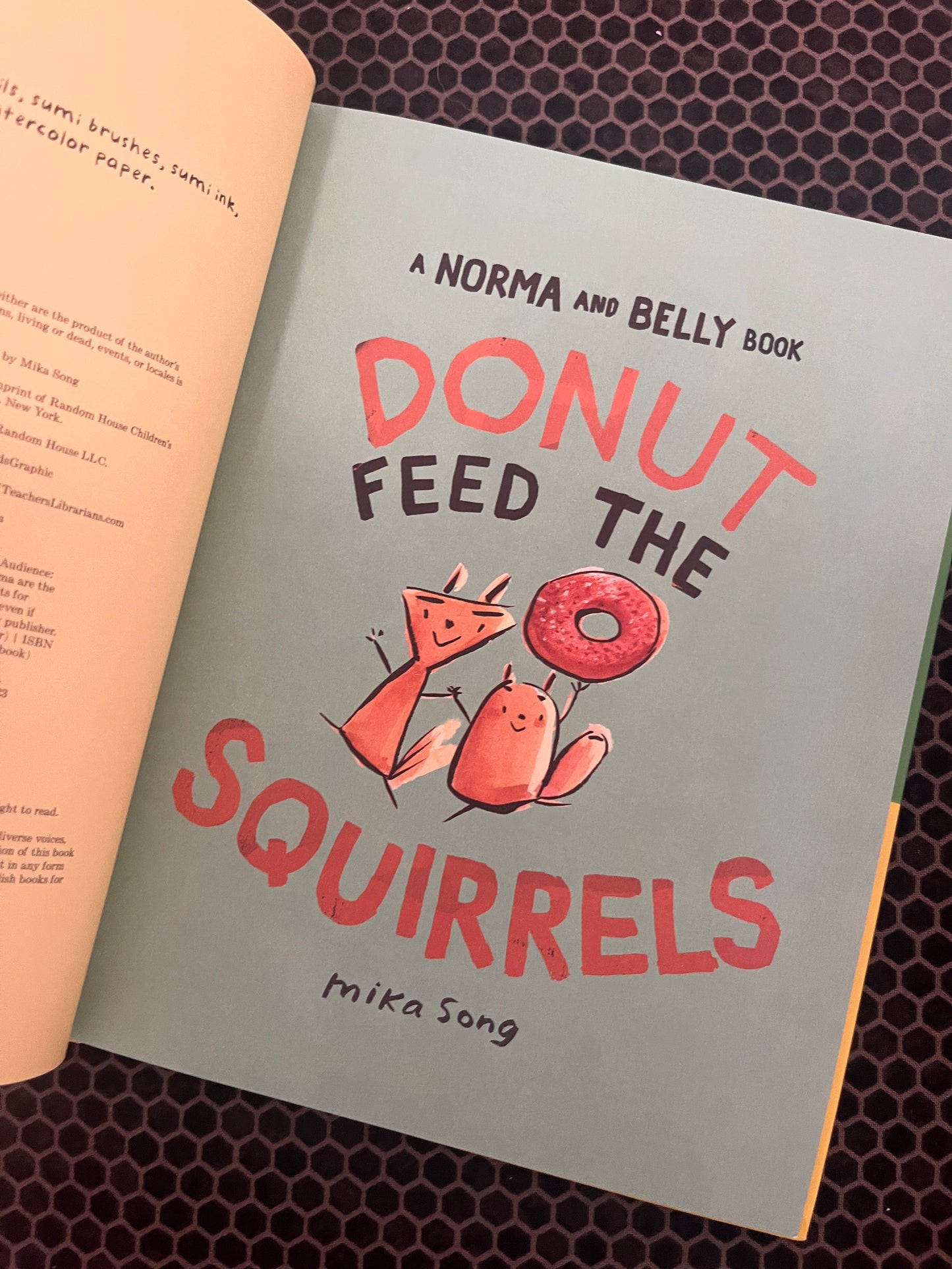 Donut Feed the Squirrels