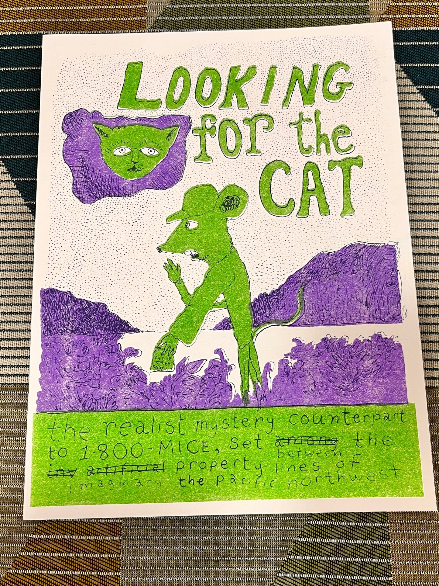 Looking for the Cat #1