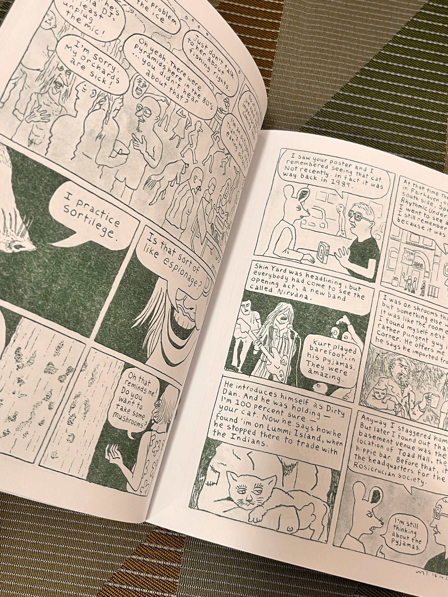 Looking for the Cat #1