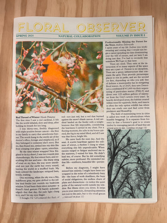 Floral Observer: SPRING 2025: NATURAL COLLABORATION