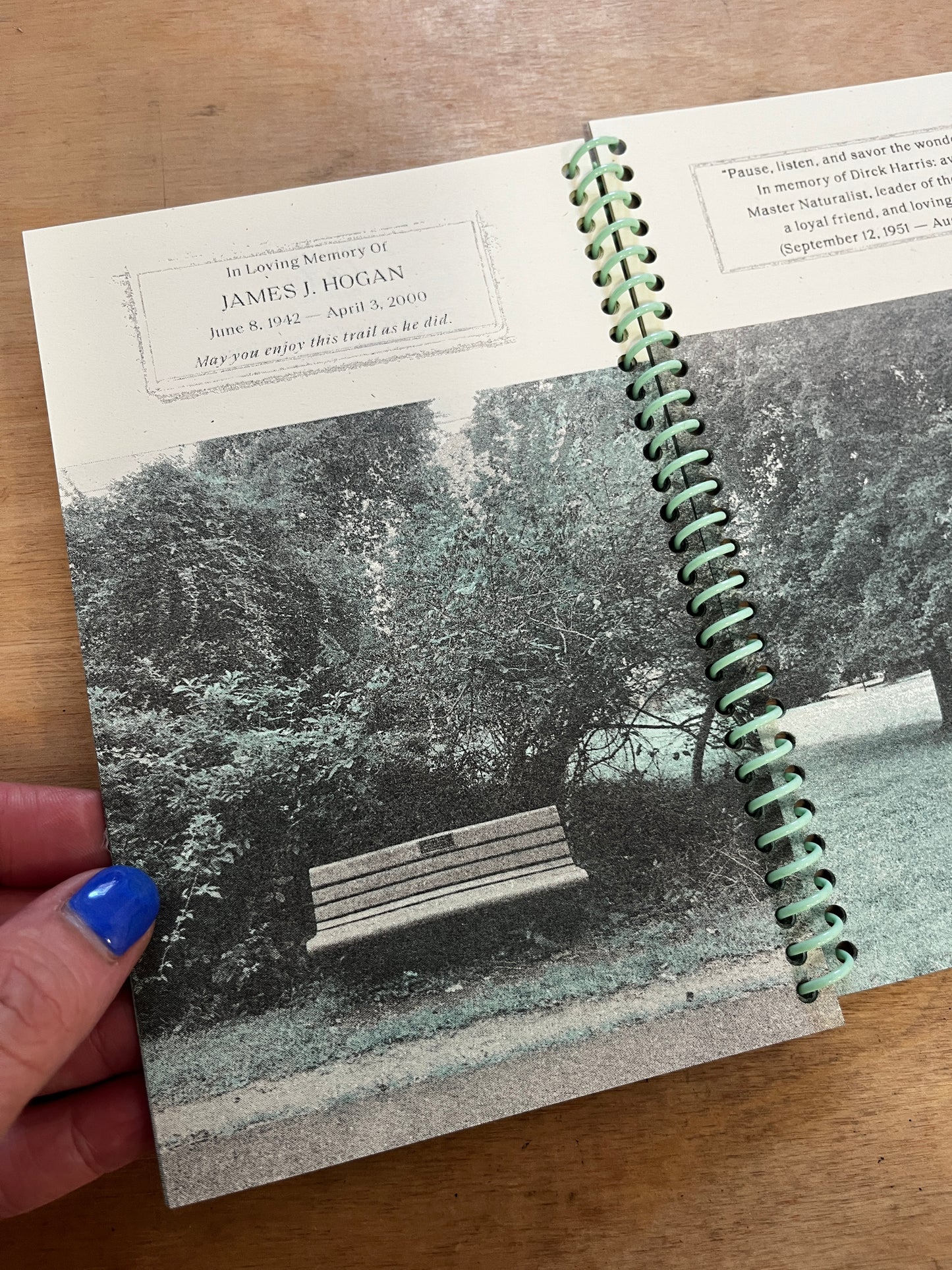 This Book is a Bench