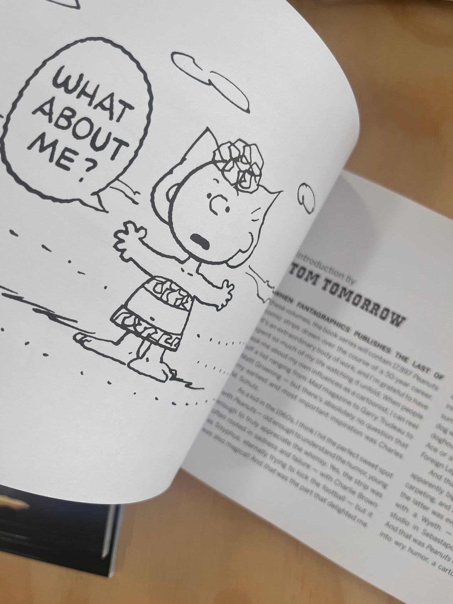 The Complete Peanuts 1991-1992: Vol. 21 Paperback Edition