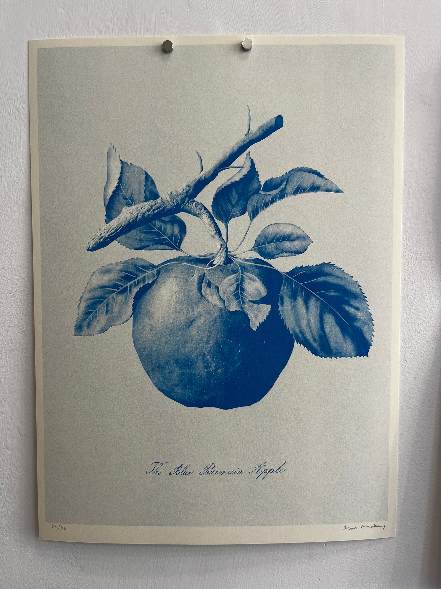 Ian Mackay Prints 2026
