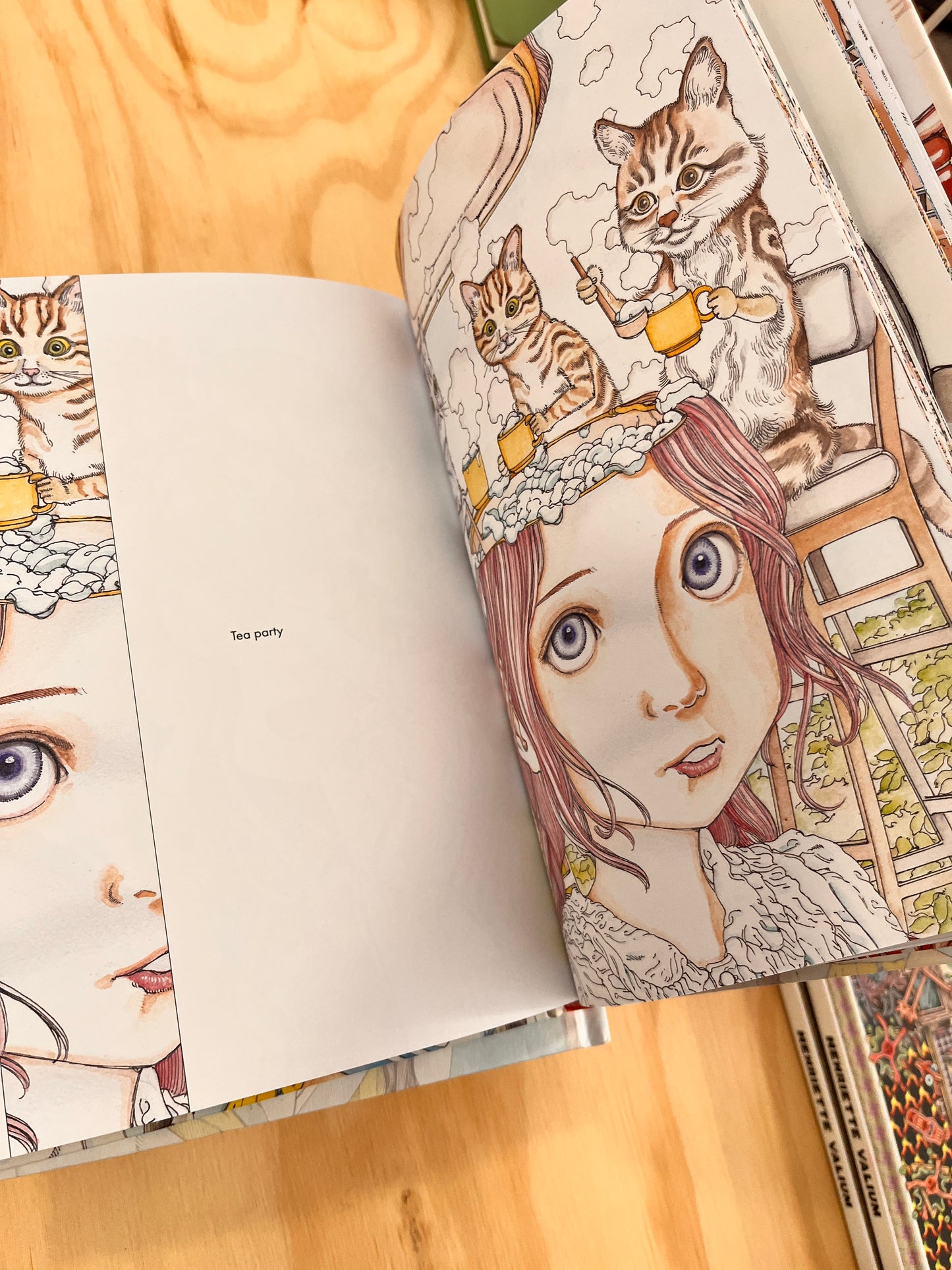 Shintaro Kago : Artbooks box set ( 250 copies limited edition)