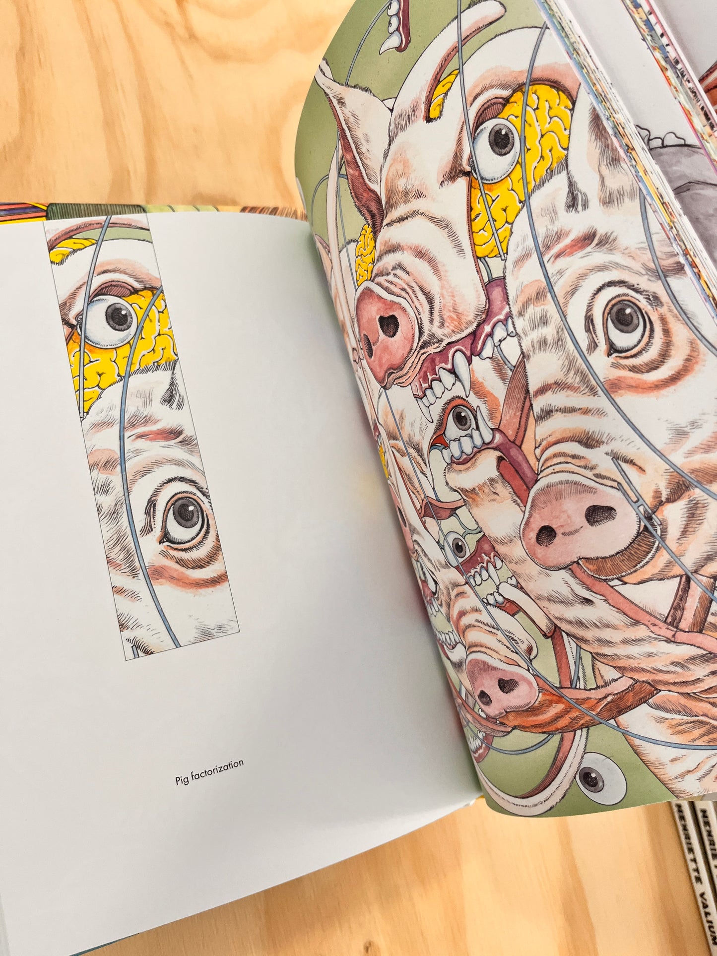Shintaro Kago : Artbooks box set ( 250 copies limited edition)