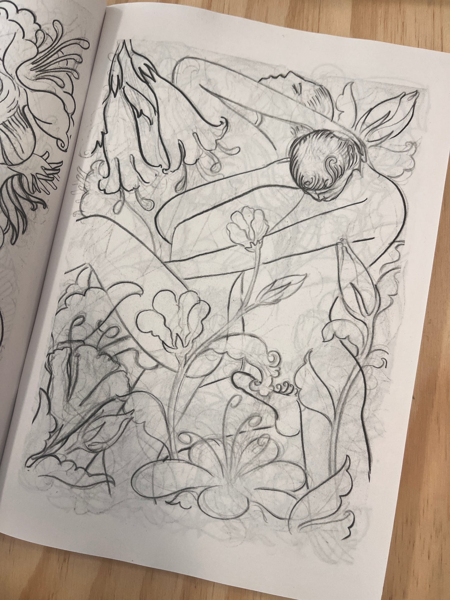 Forbidden Drawings