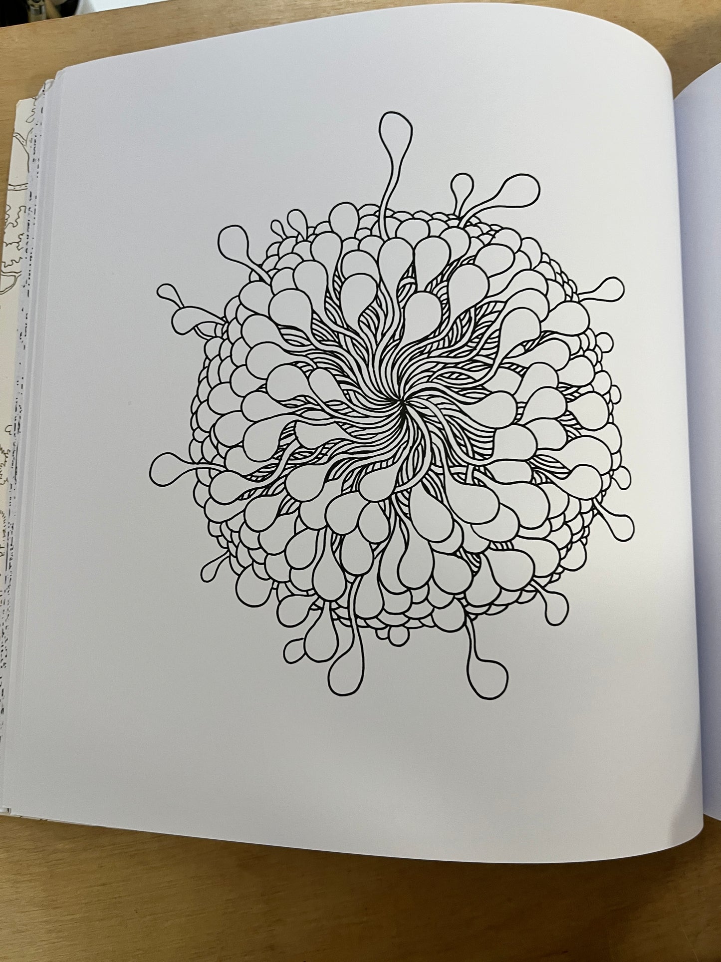 A Walk in Eden coloring book