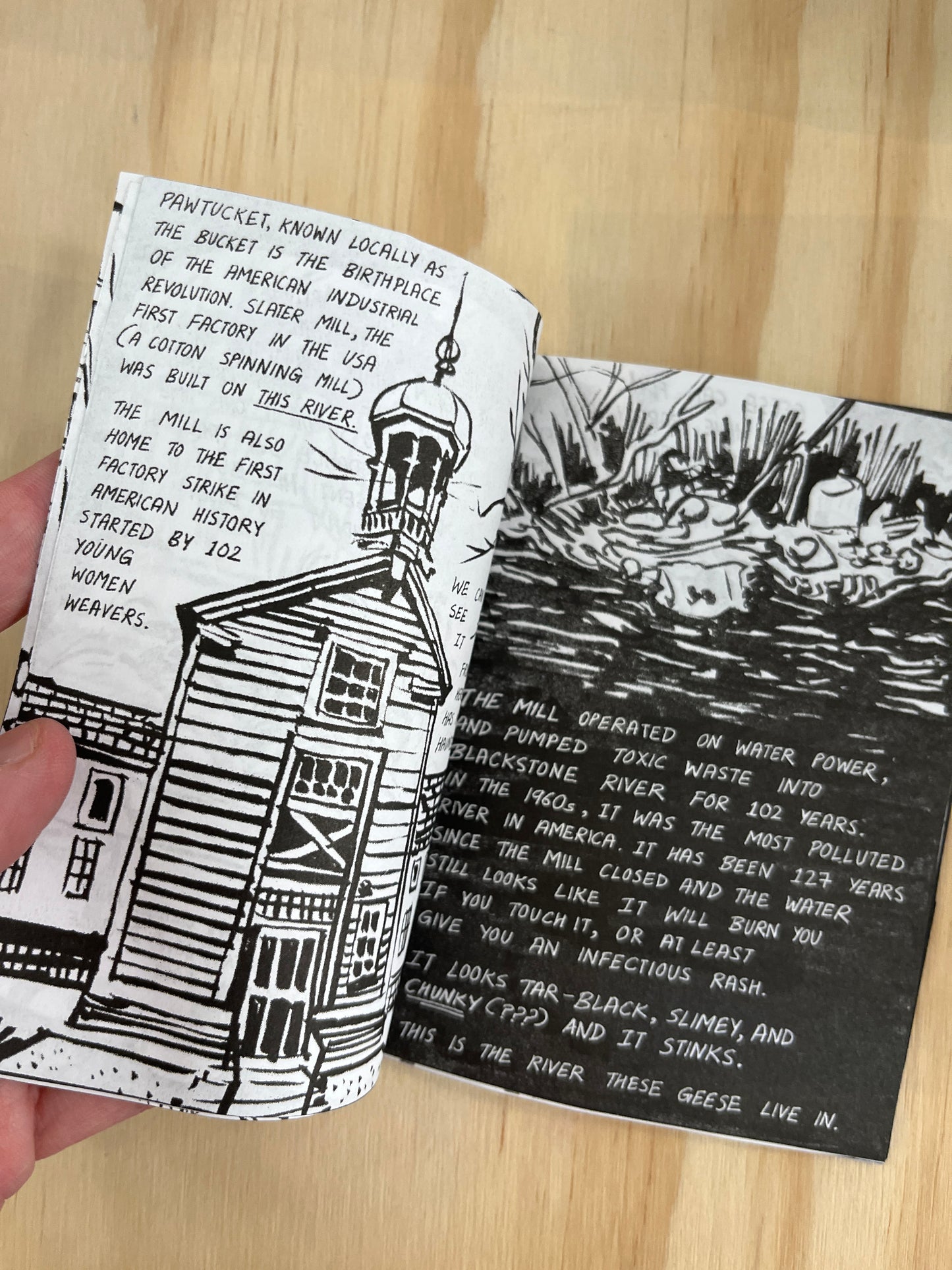 Translated from the Geese