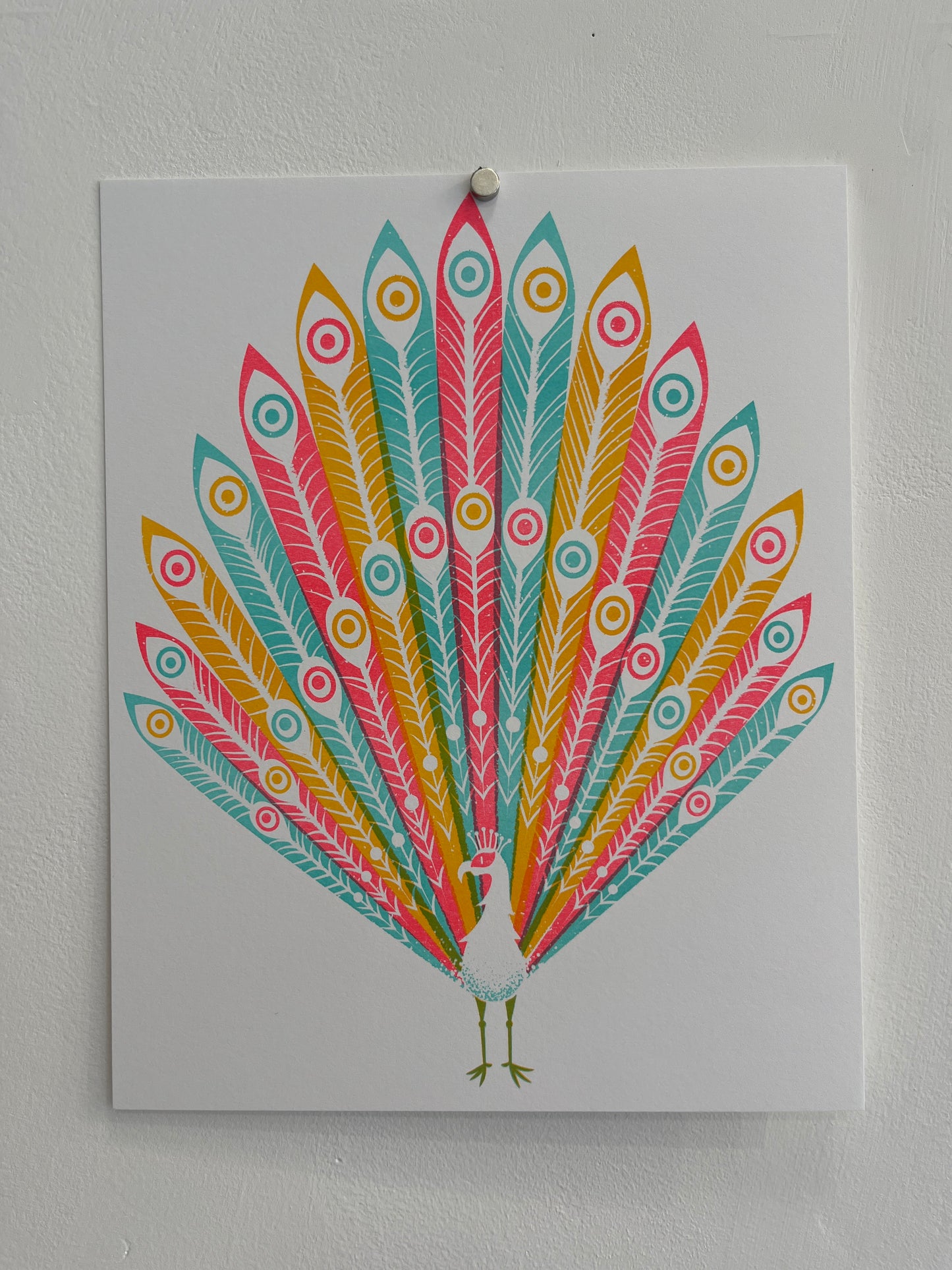 James Olstein Print - Peacock