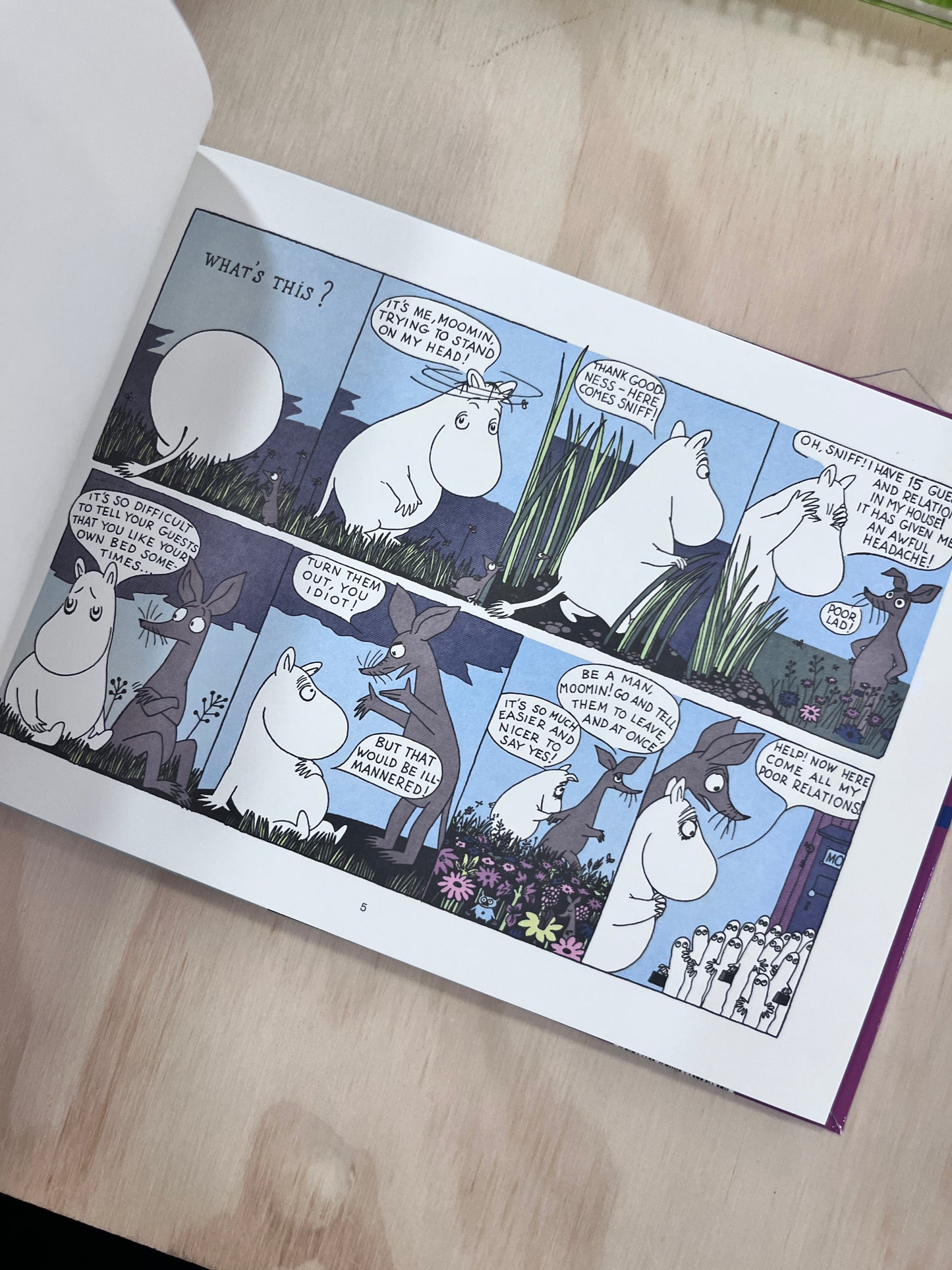 Moomin and the Brigands