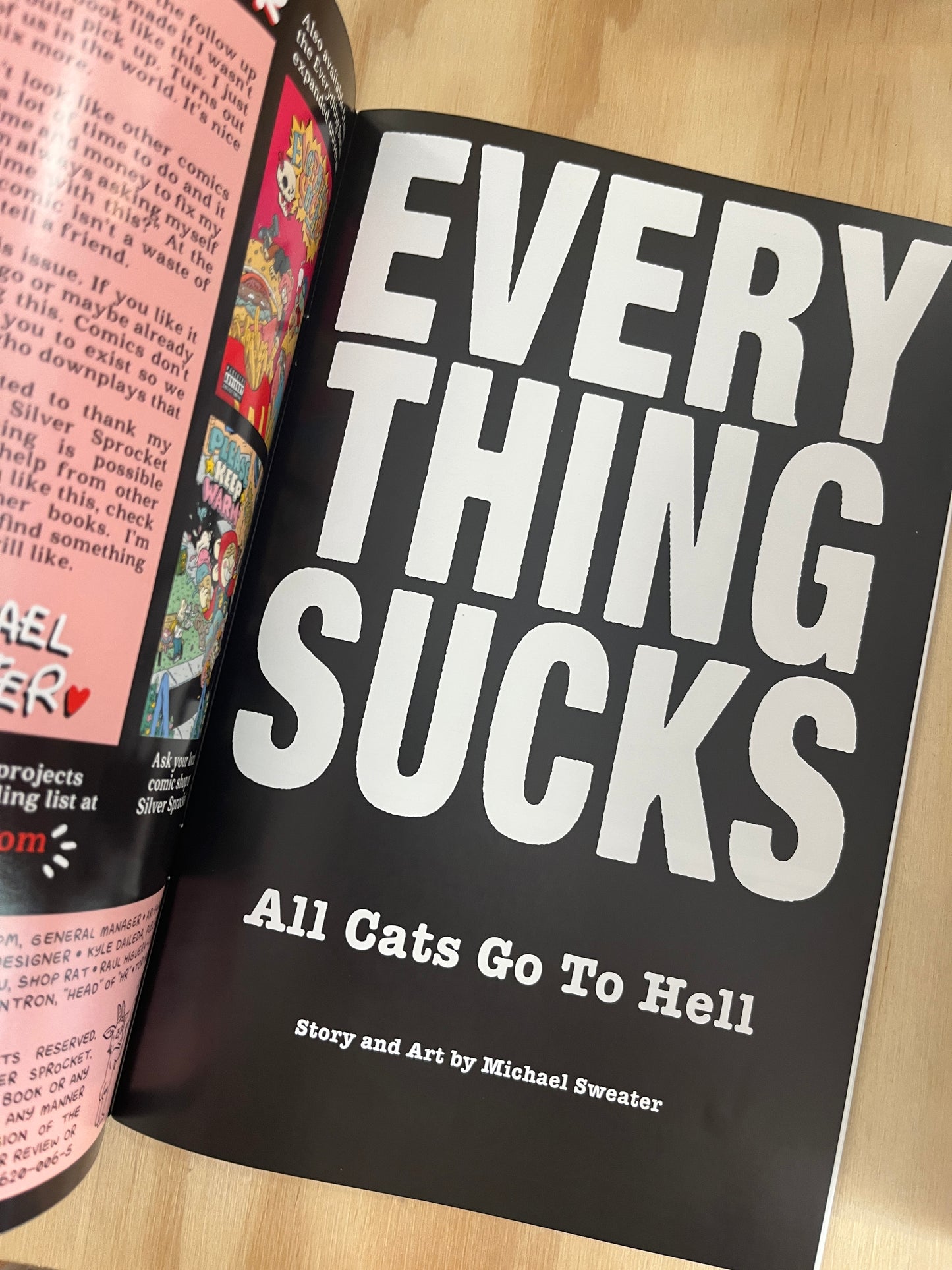 Everything Sucks: All Cats Go To Hell!