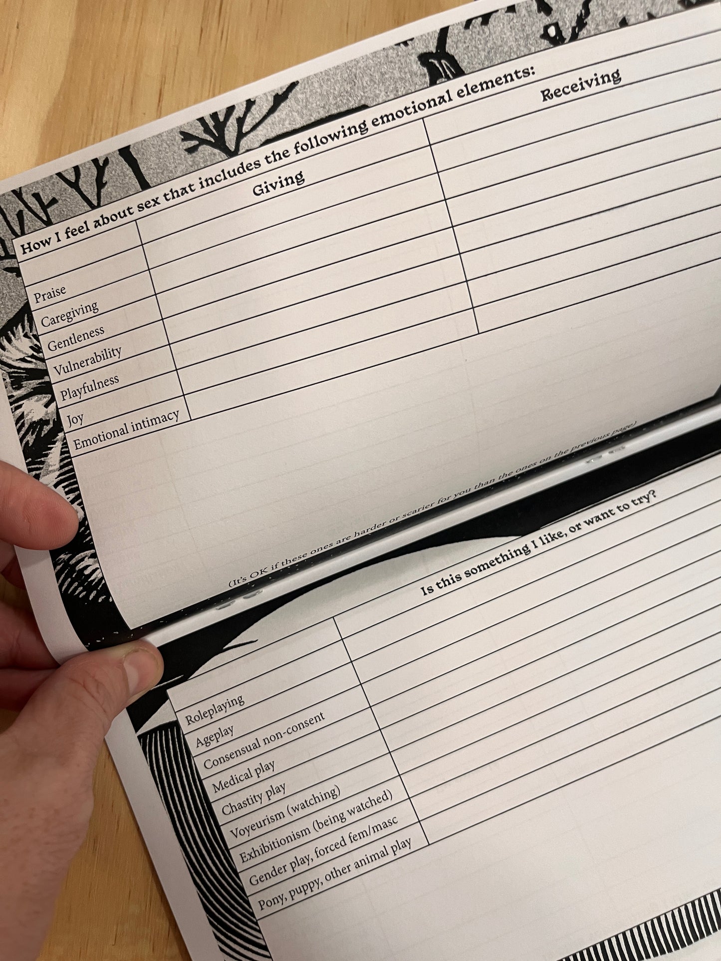 Like This: A workbook on sex, desire, boundaries, and logistics