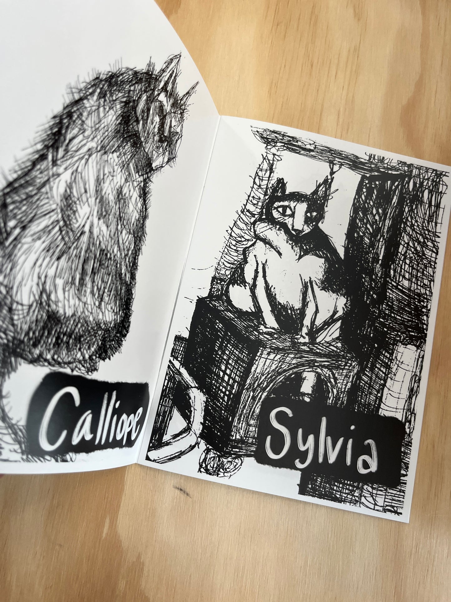 Strange Cats