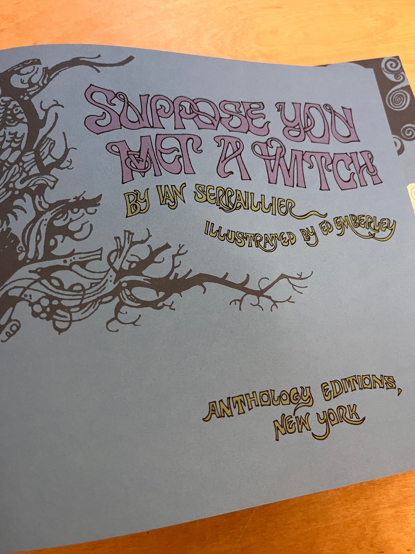 Suppose You Met a Witch