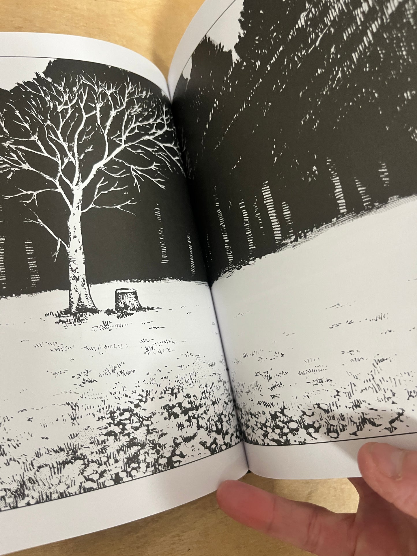 The Girl From the Other Side: Siúil, a Rún Deluxe Edition IV (Vol. 10-11+EX Hardcover Omnibus)