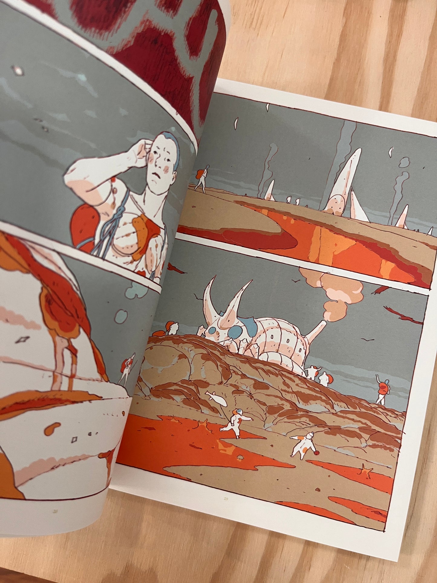 Stages of Rot