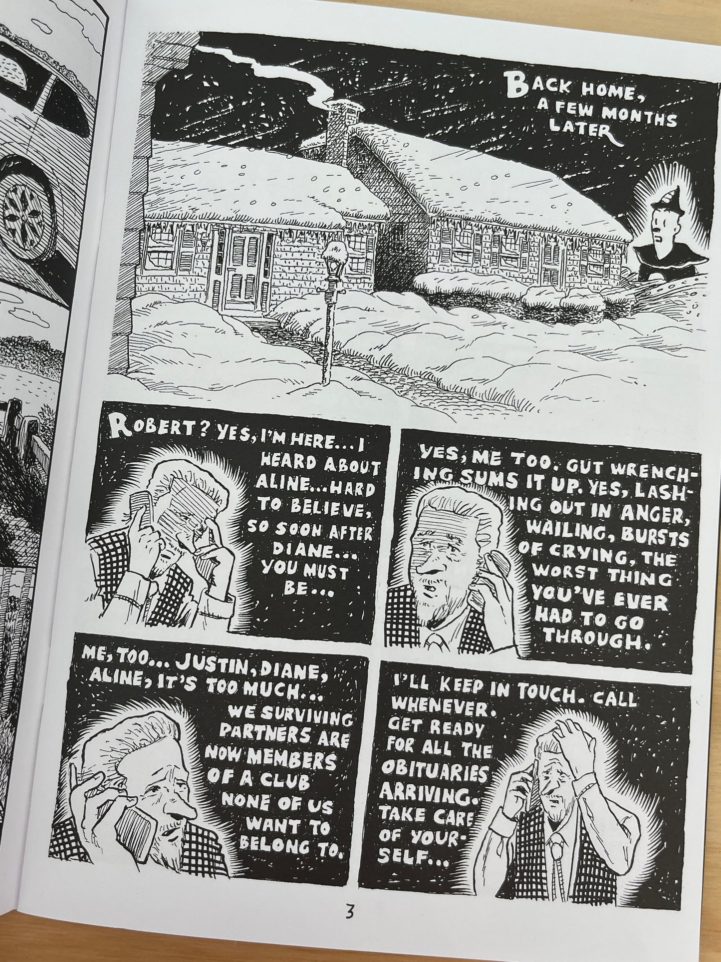 The Buildings are Barking: Diane Noomin in Memoriam