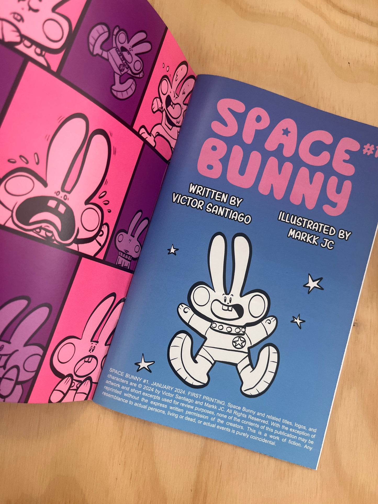 Space Bunny #1