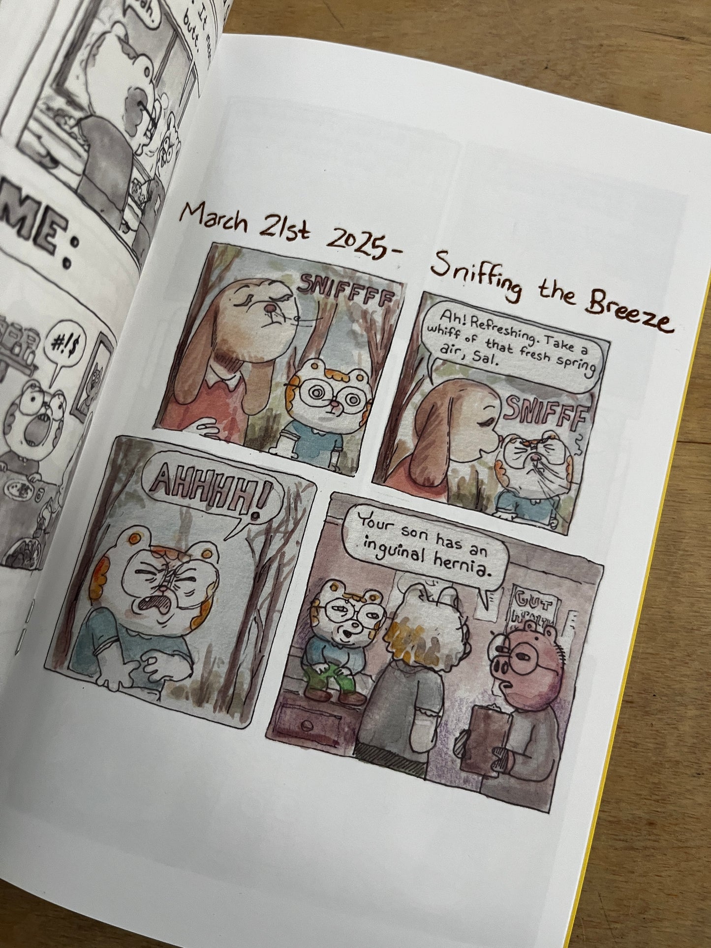 A Smattering Of Comics