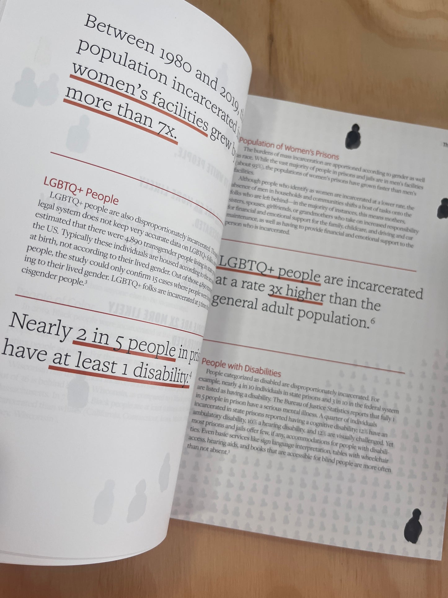 The Warehouse: A Visual Primer on Mass Incarceration