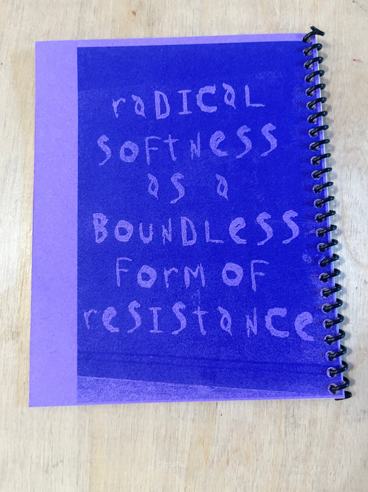 Some Definitions, Some Thoughts, Some Assertions, Radical Softness as a Boundless Form of Resistance 3rd ED.