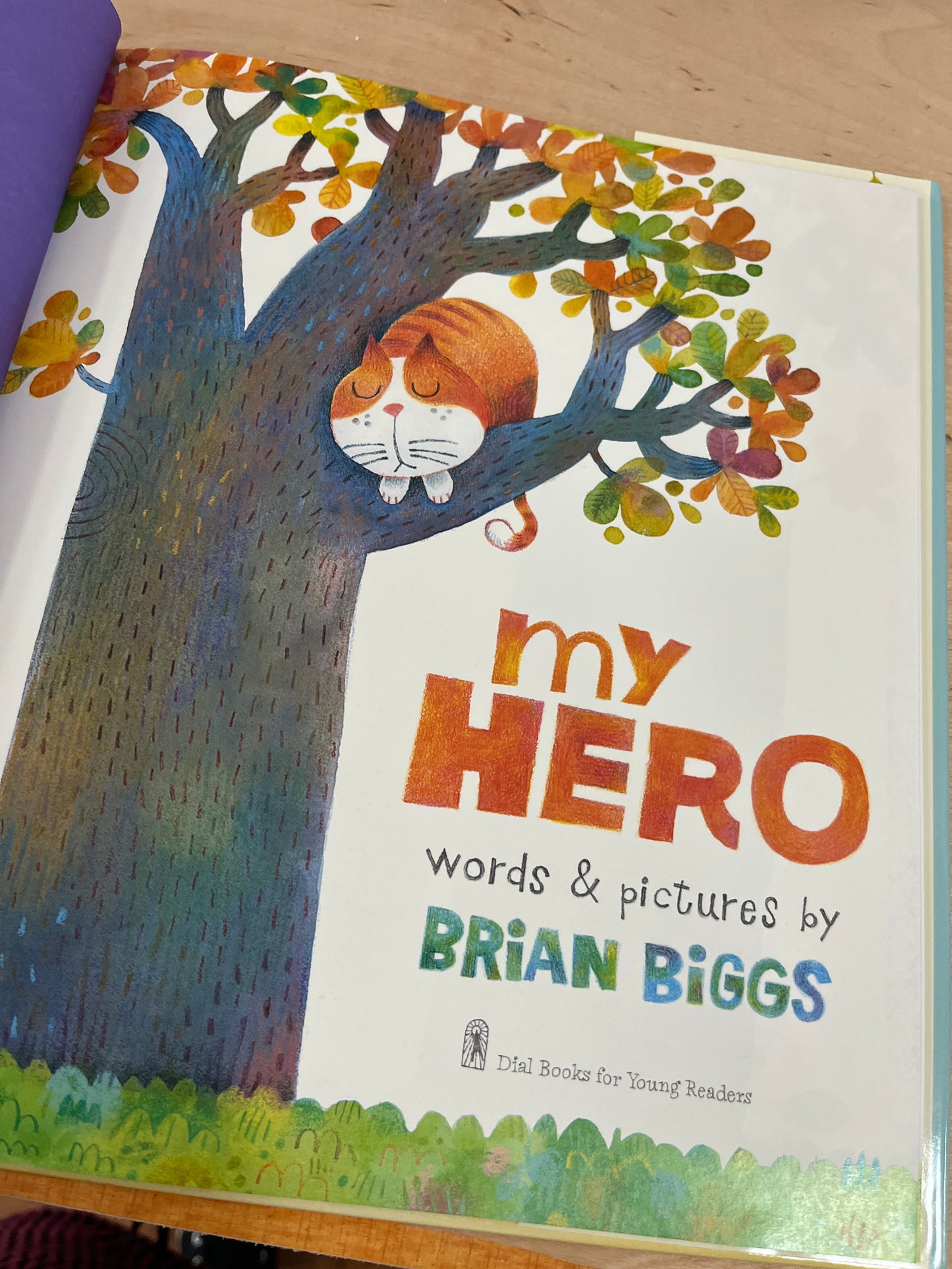 My Hero