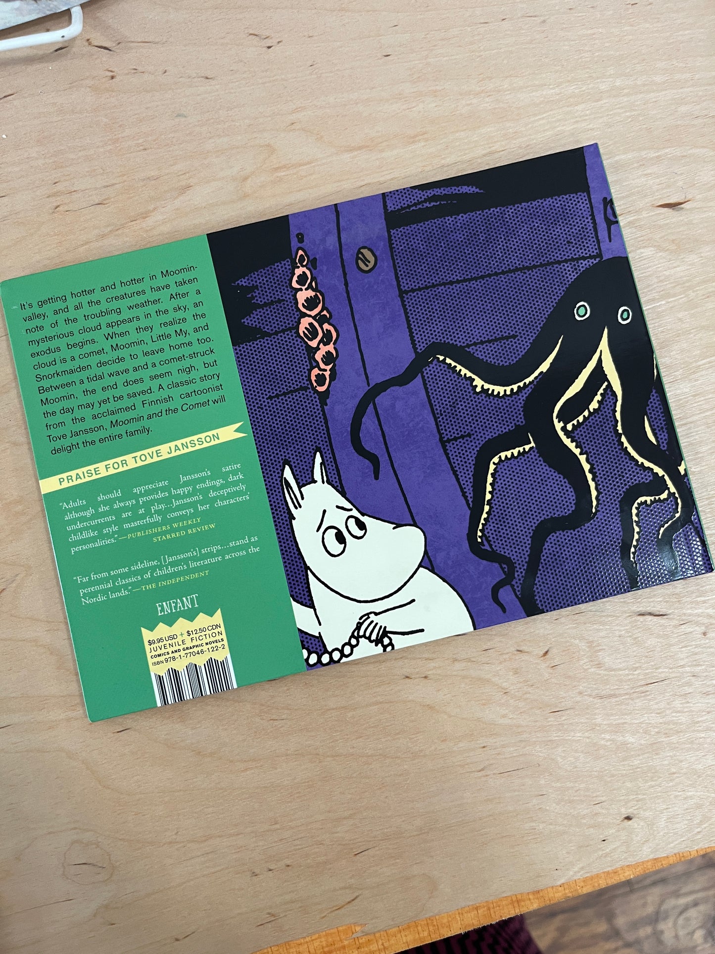 Moomin and the Comet
