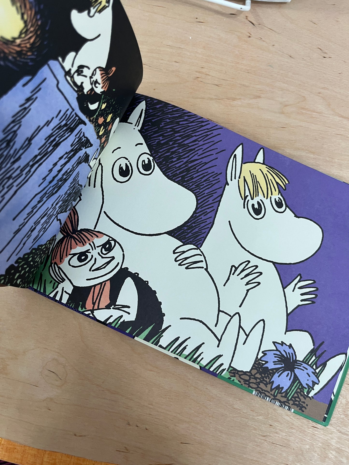 Moomin and the Comet