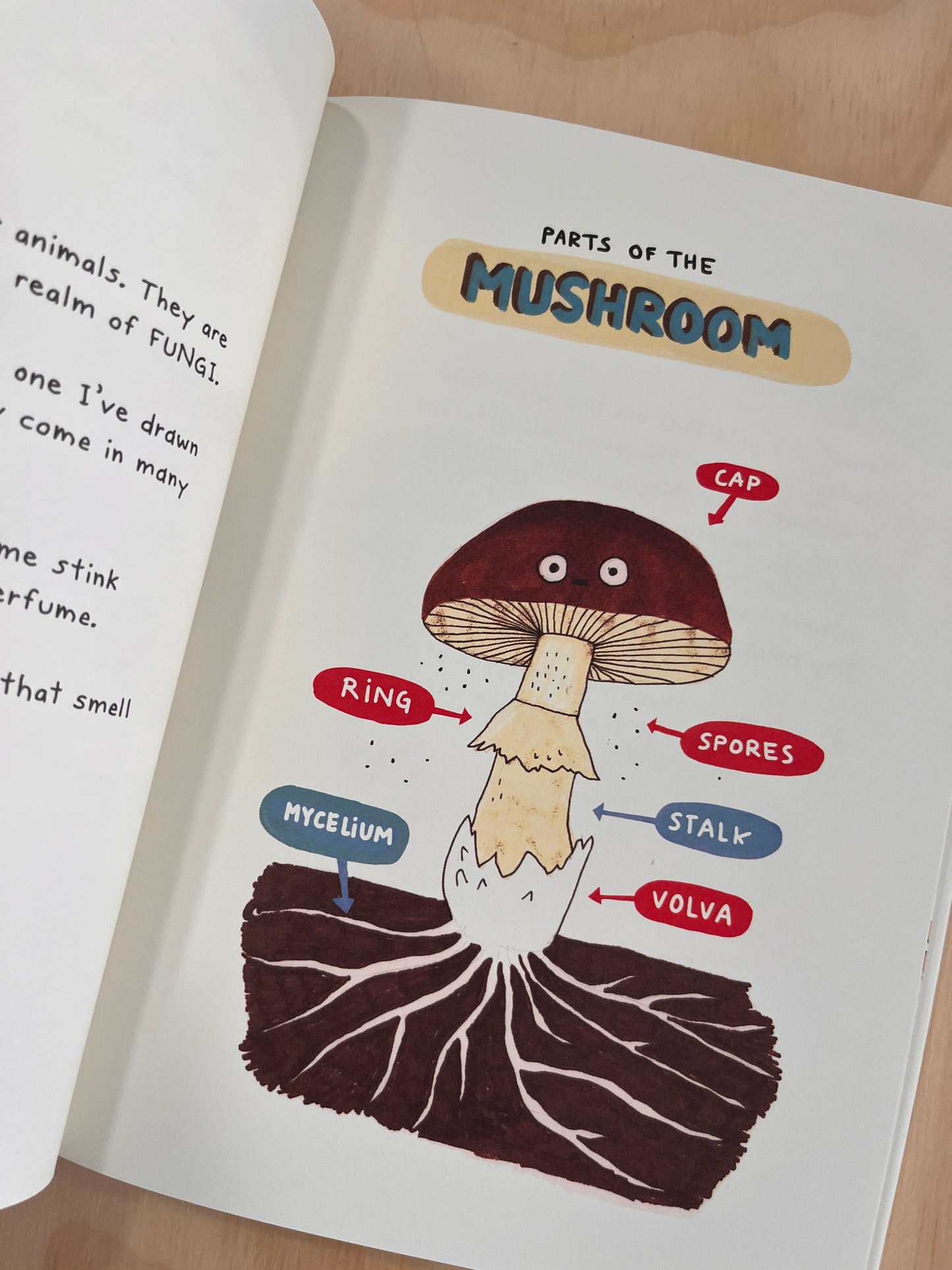 The Mushroom Fan Club