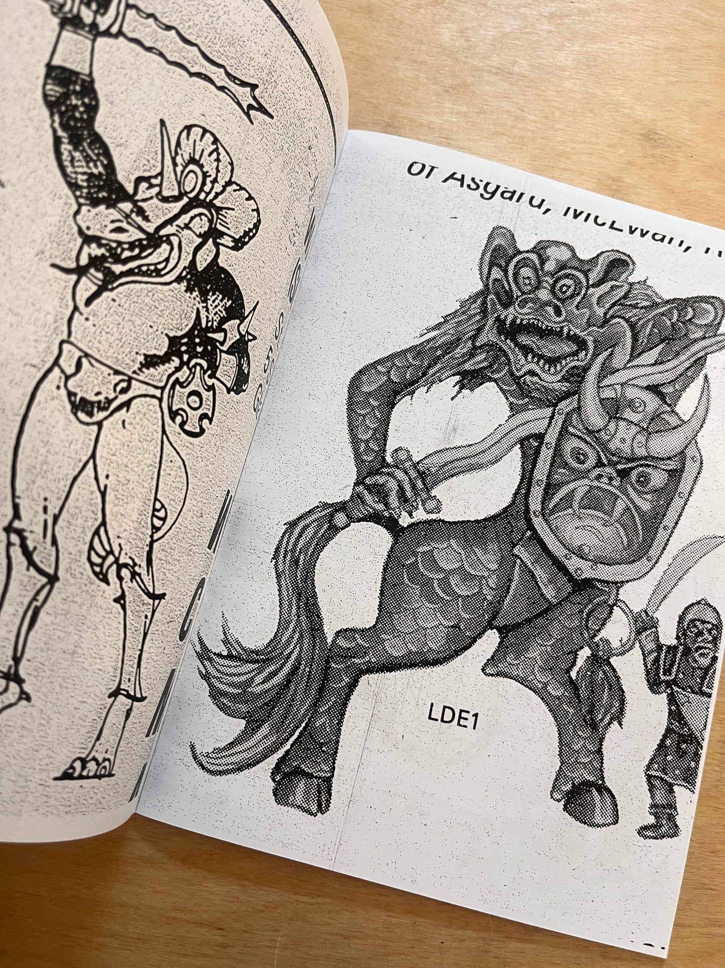 Lemon Sadler May 2025 Zine (with poster!)