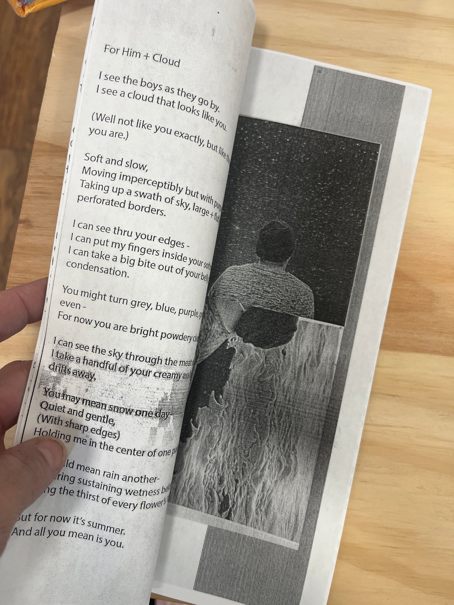 Light Sleep: love poems written in between naps