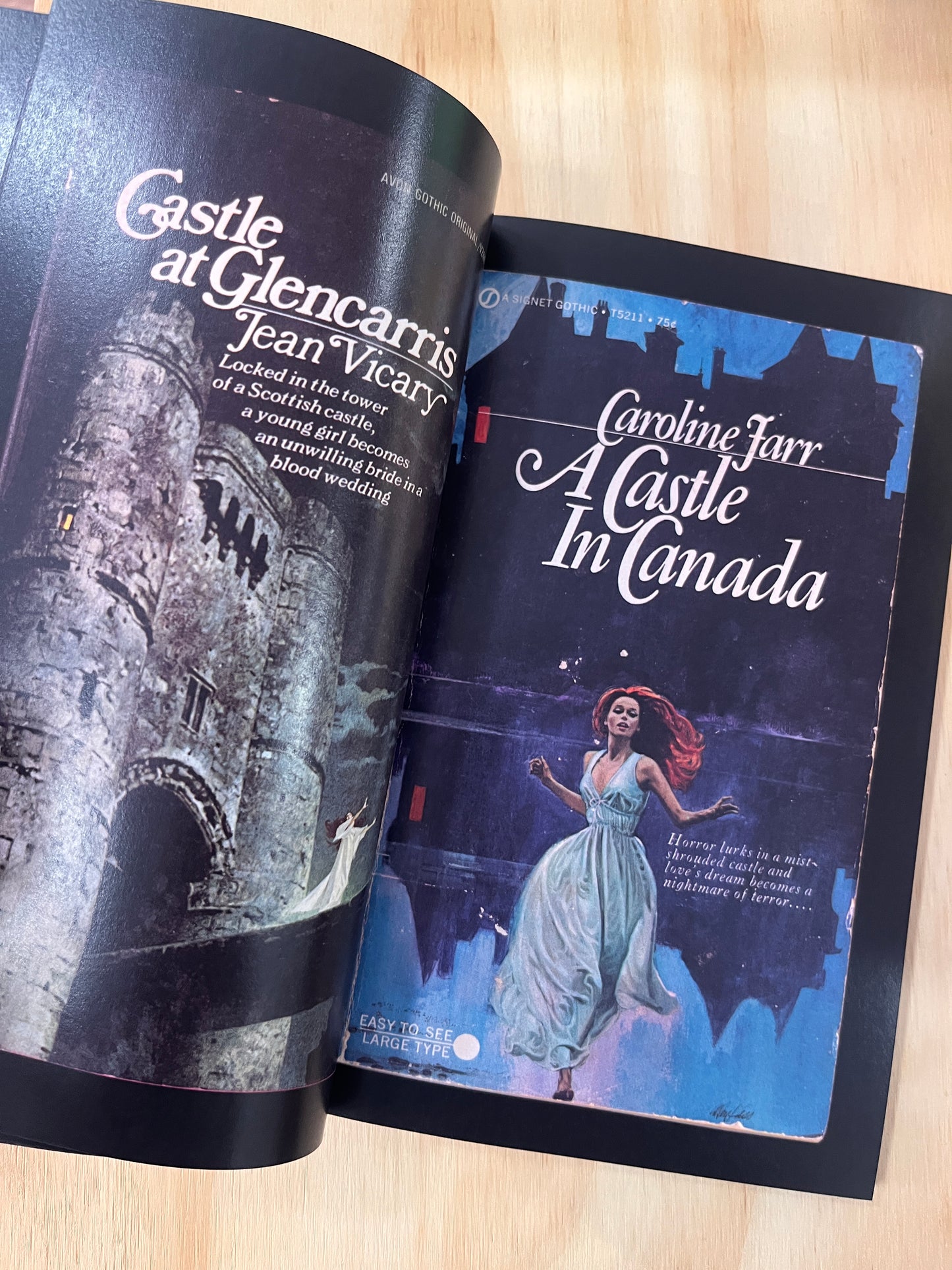 Spectral Vision of Gothic Romance Skylight Edition