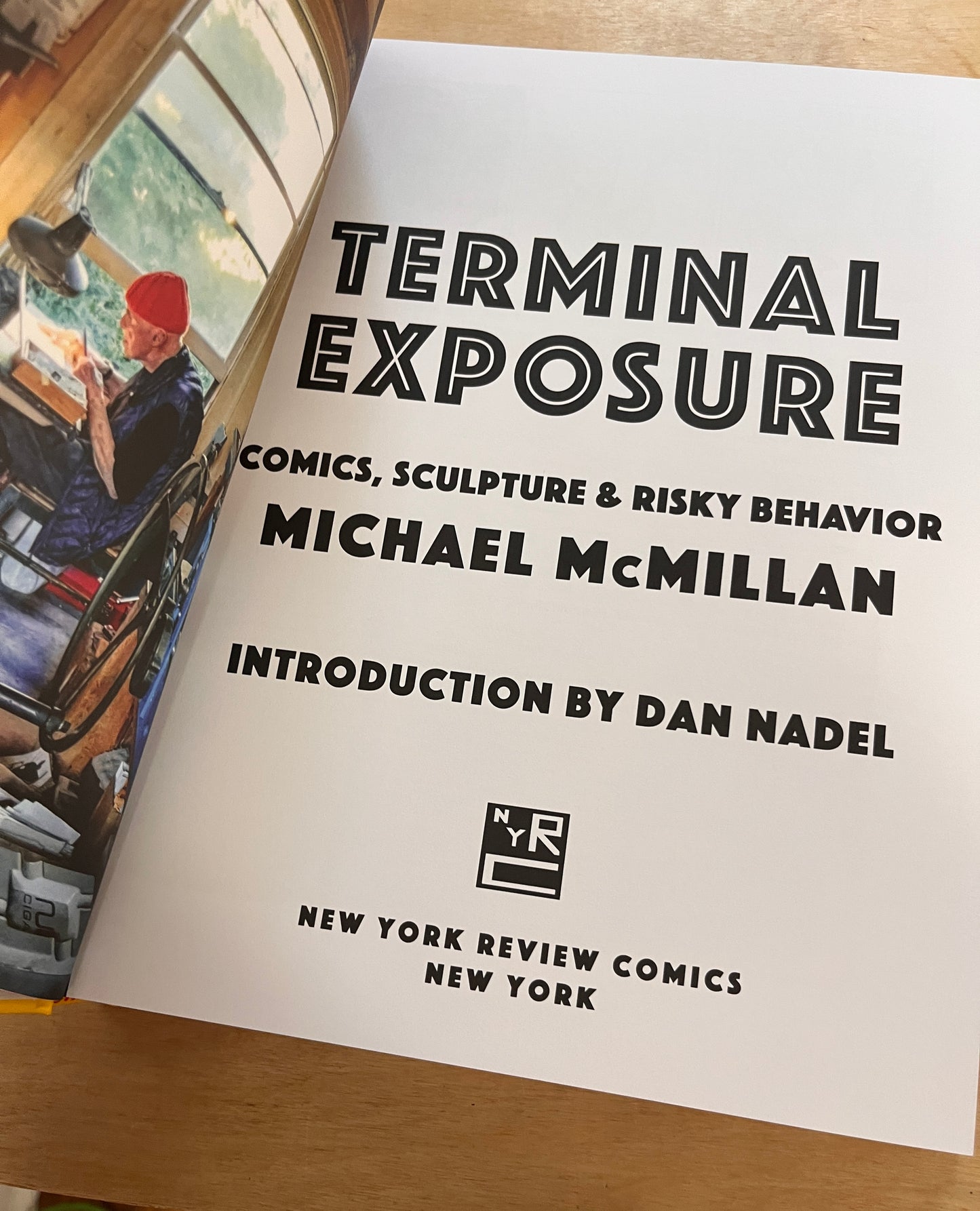 Terminal Exposure: Comics, Sculpture, and Risky Behavior