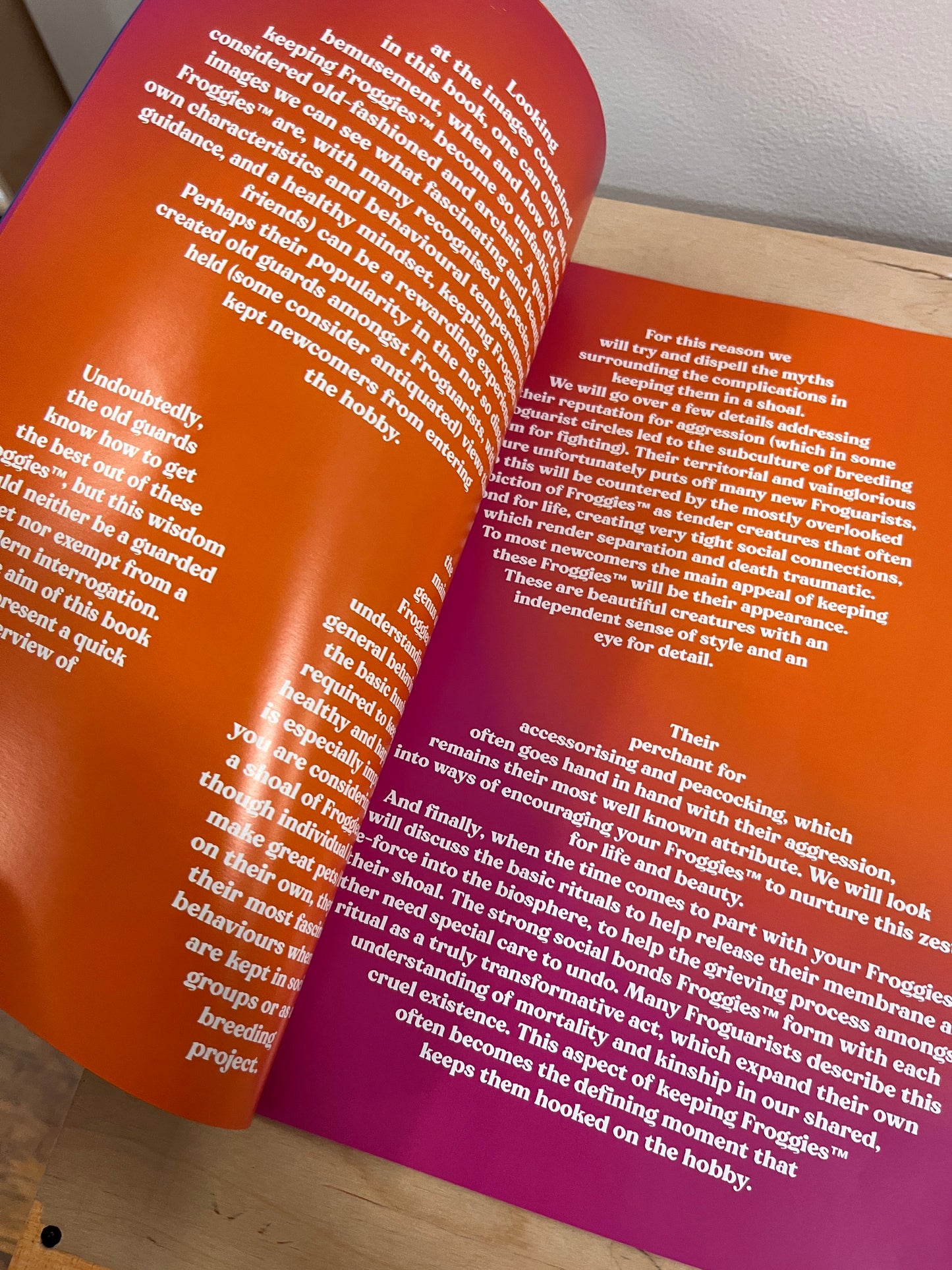 The Life Cycle of Froggies