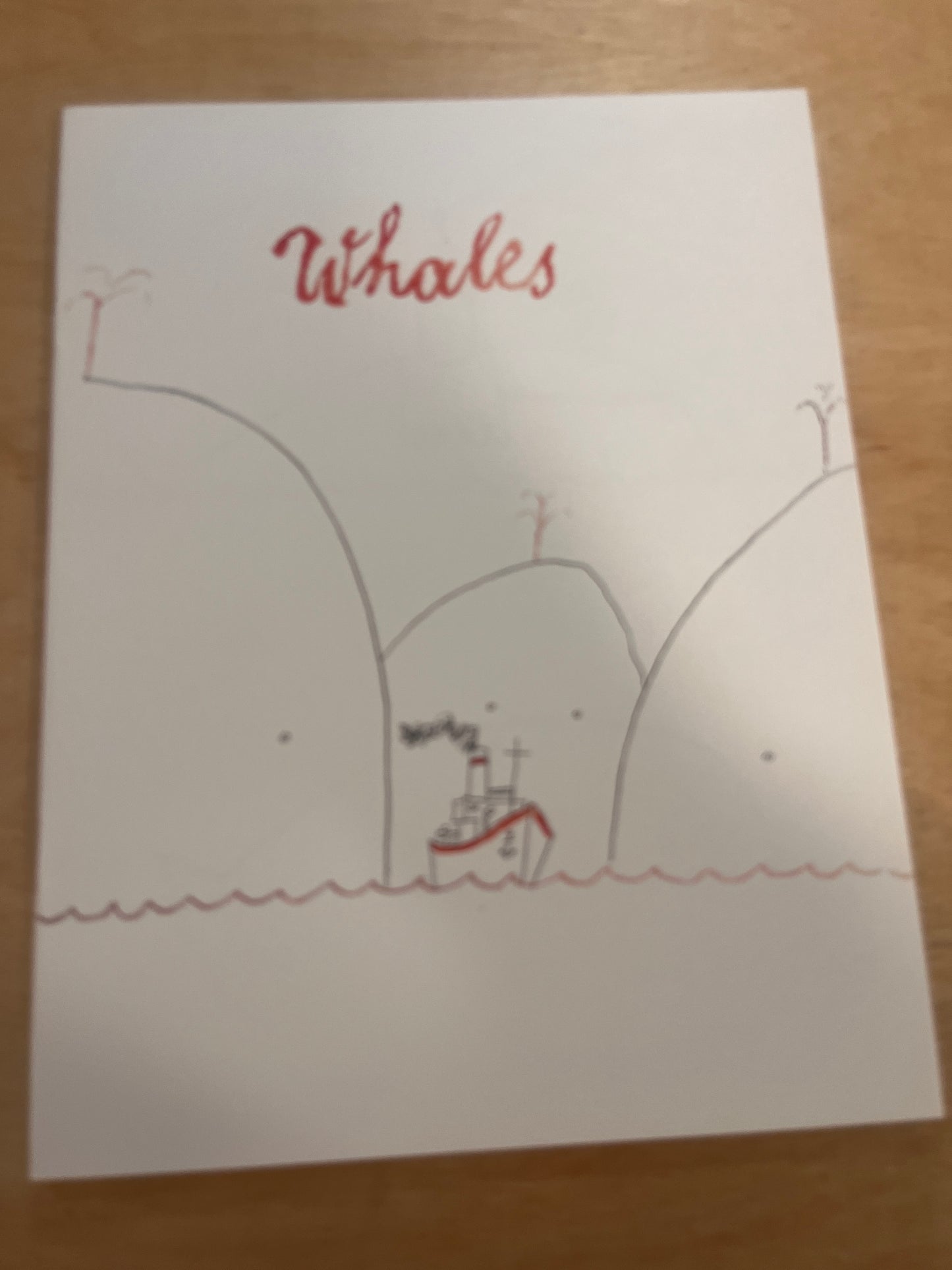 Elephants, Whales & Kangaroos