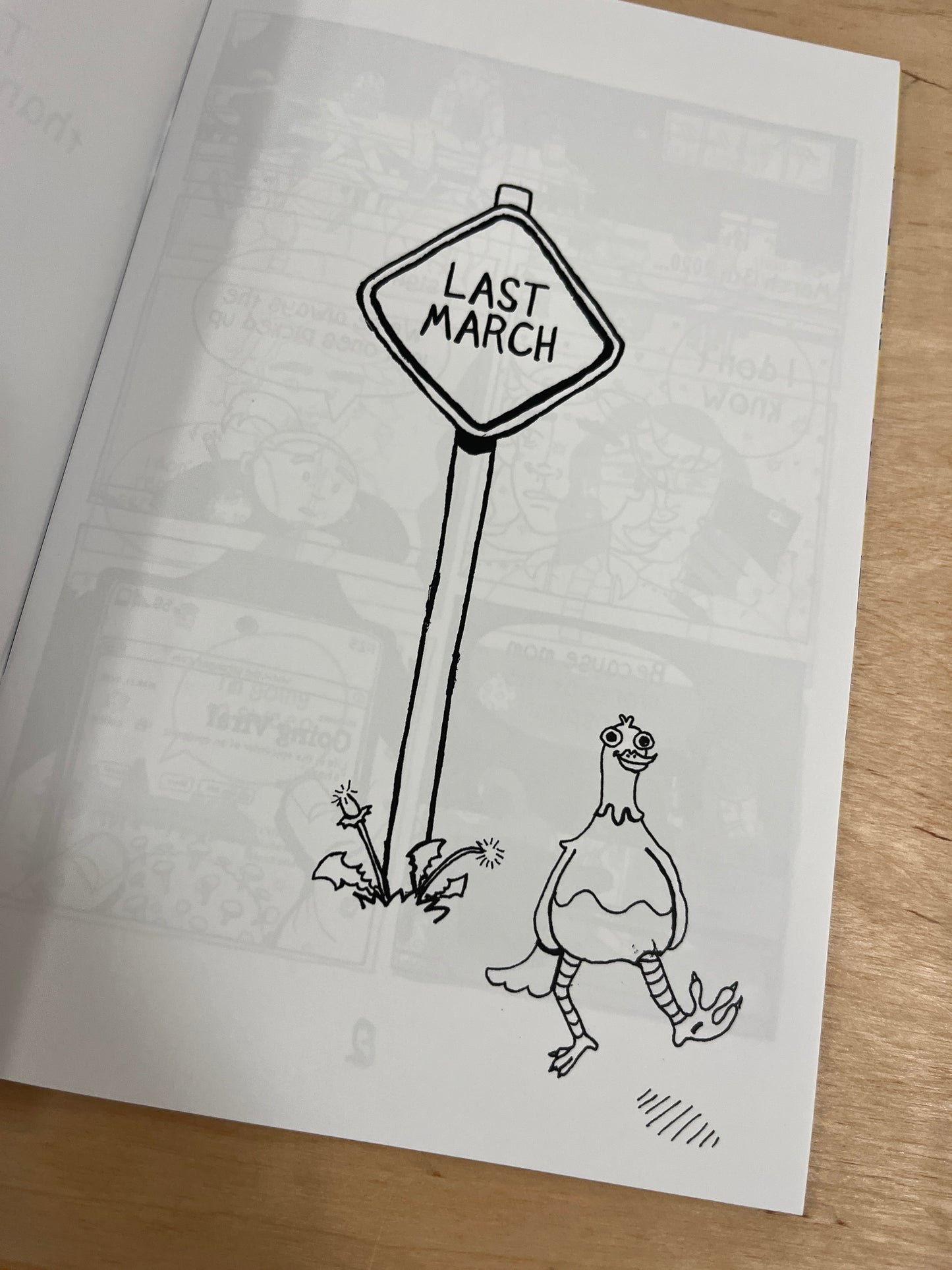 Ride at Your Own Risk: A Collection of Memoir Comics