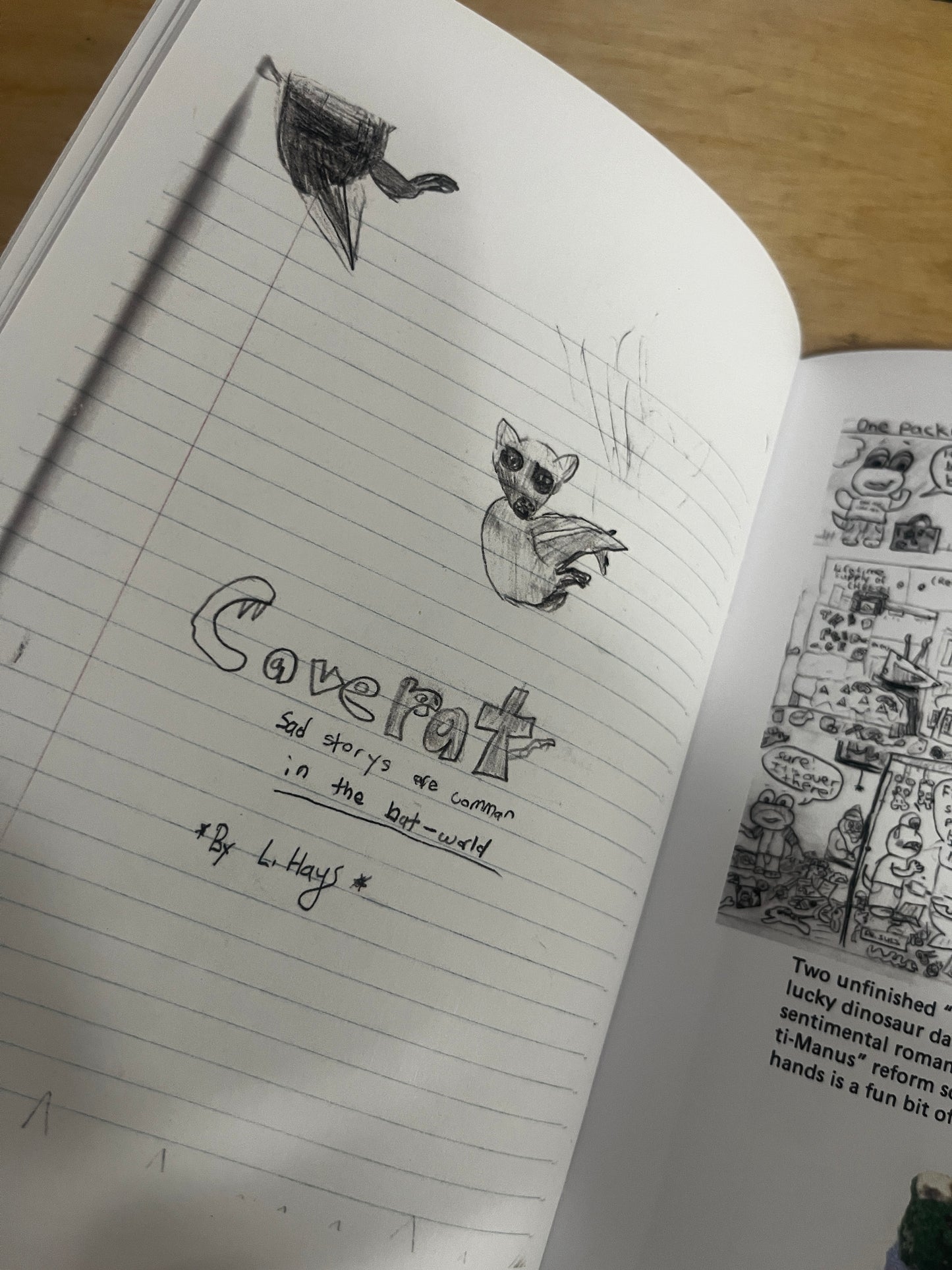 Collected Drawings: Ages 5-10 - Liby Hays