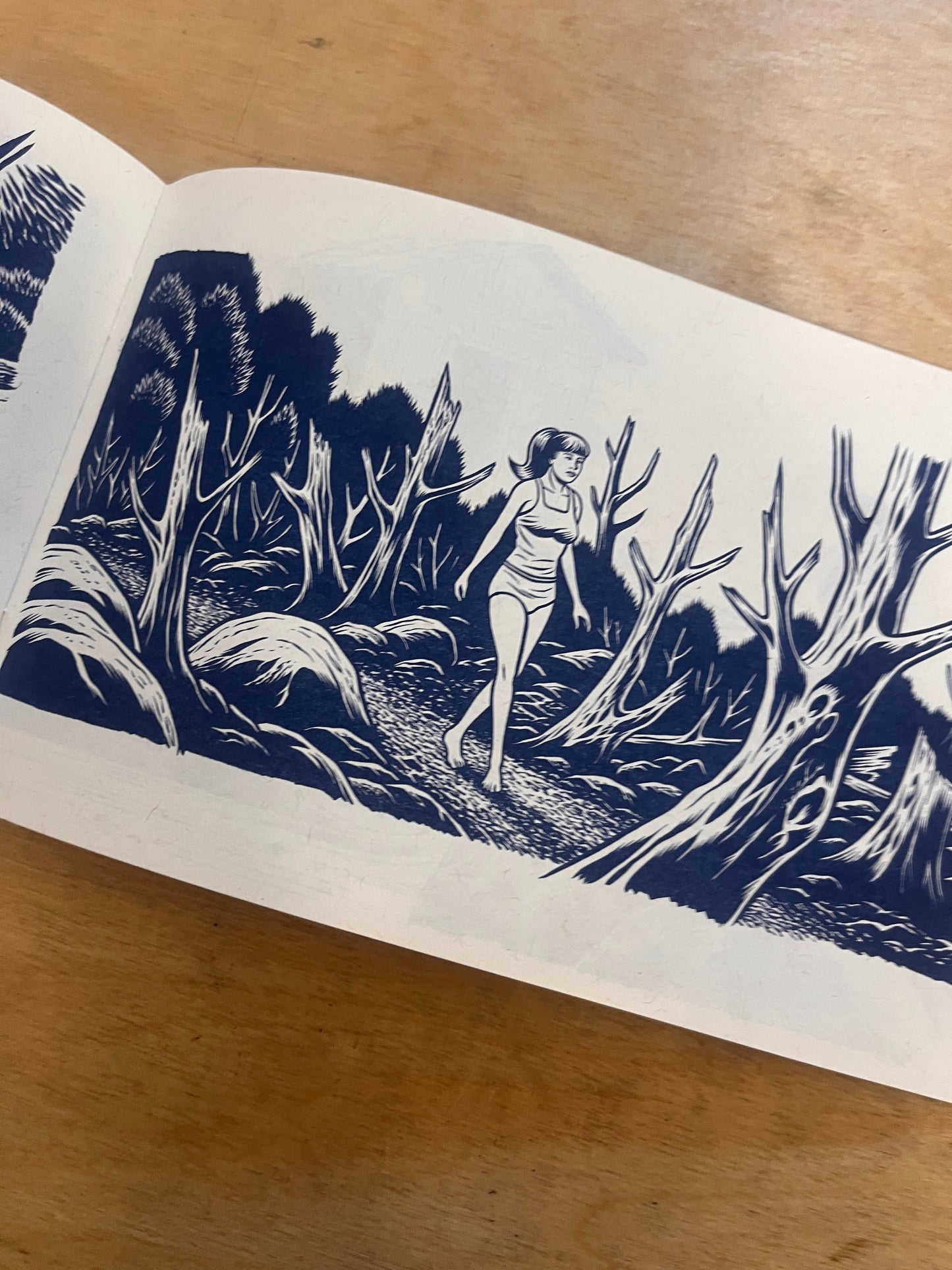There Will Be Tears: Charles Burns Riso Zine