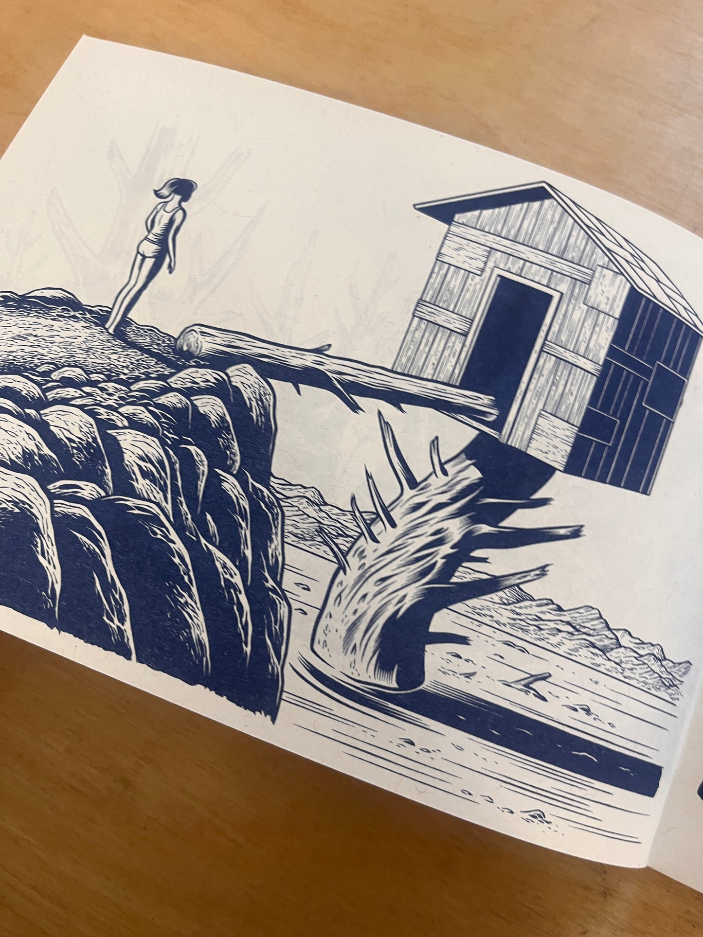 There Will Be Tears: Charles Burns Riso Zine