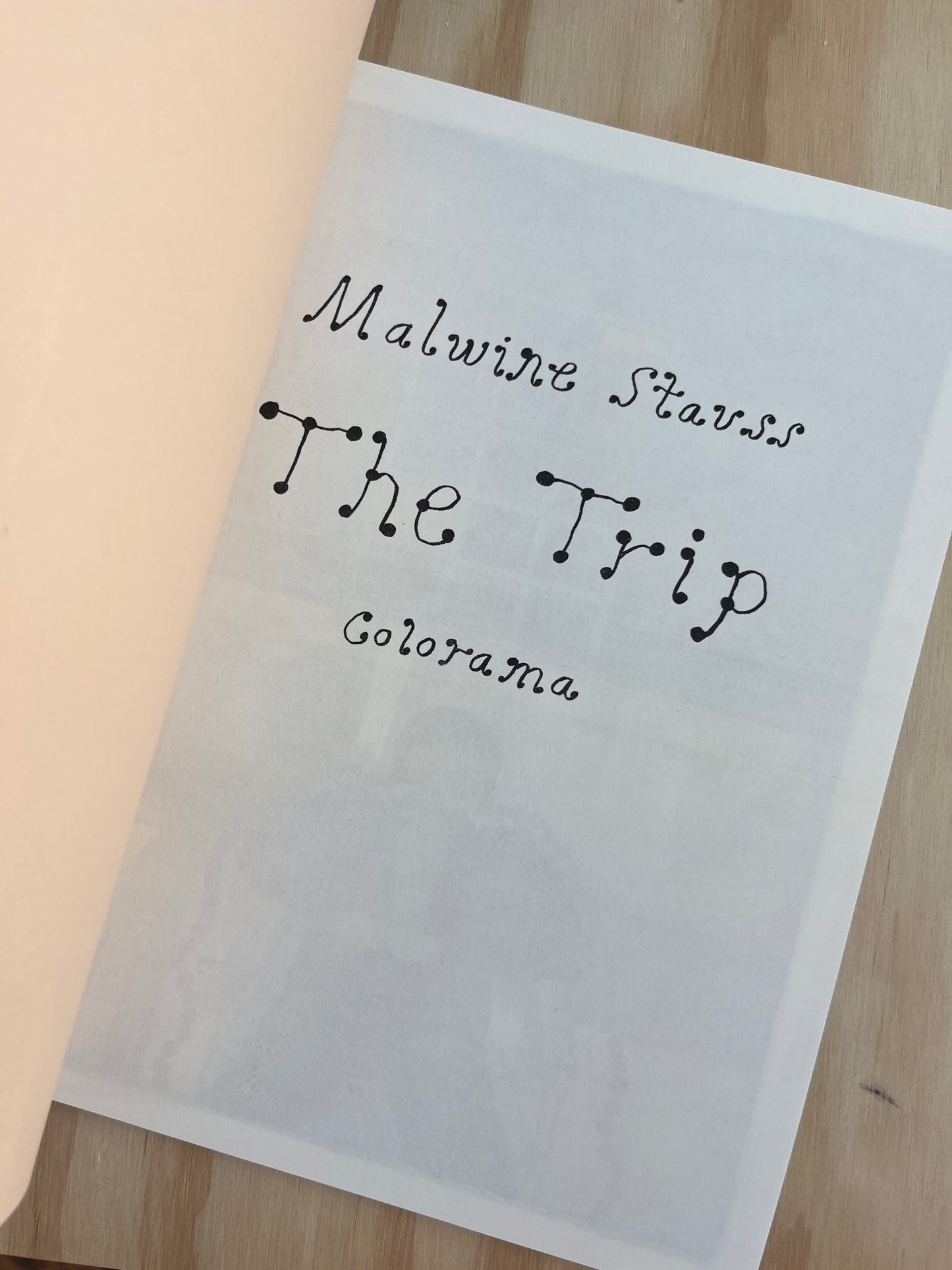The Trip