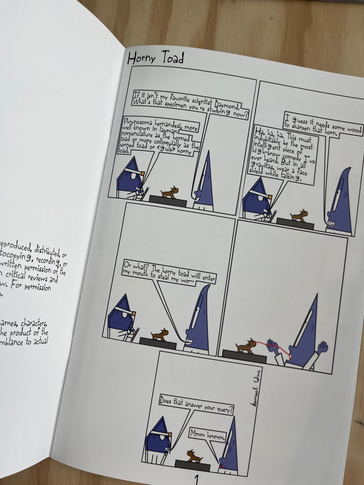 The Shapes: Turd's a Charm