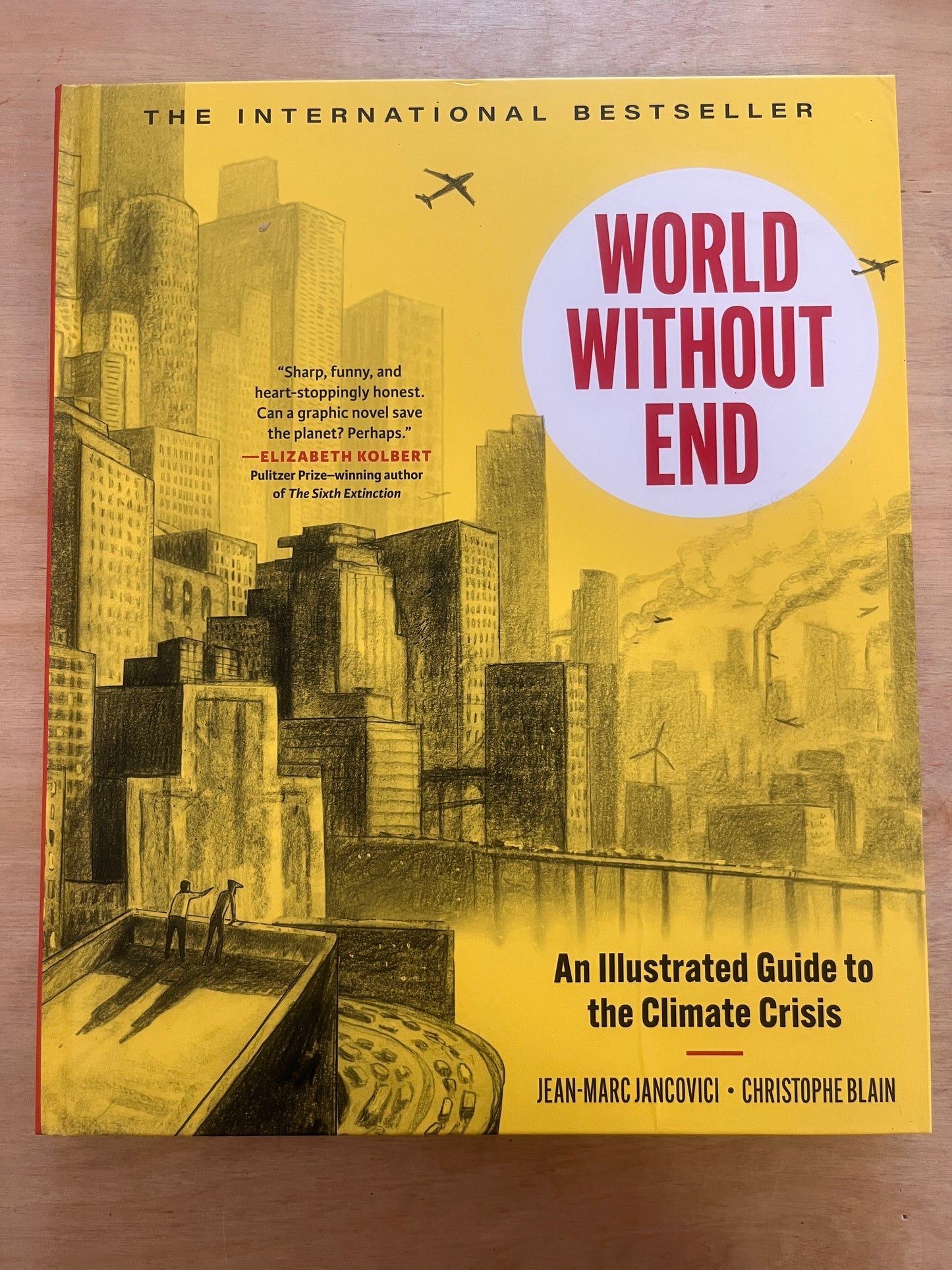 World Without End: An Illustrated Guide to the Climate Crisis