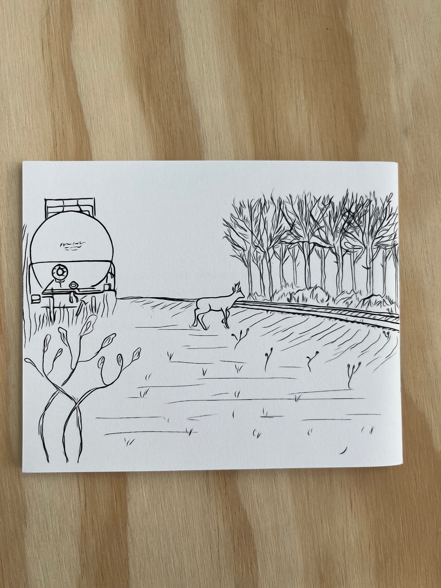 Trains